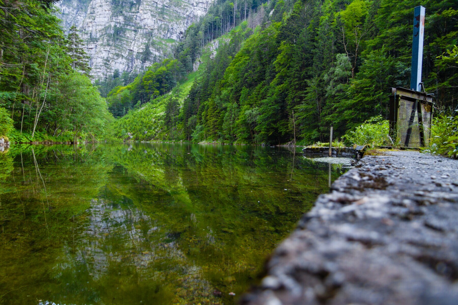 Ein grüner See umgeben von hohen Tannen, im Hintergrund ein Felsmassiv