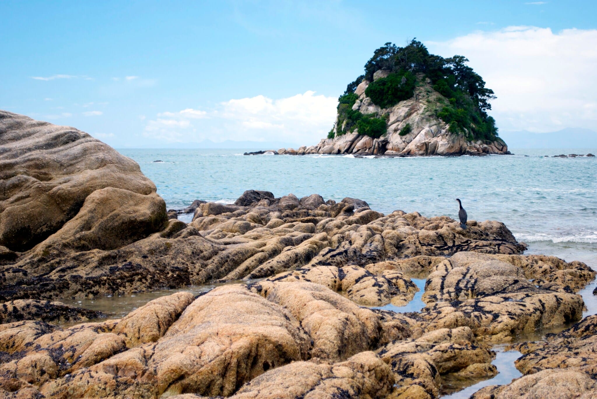 Ein Graureiher sitzt auf einem Felsen, im Hintergrund eine kleine Felseninsel im Meer