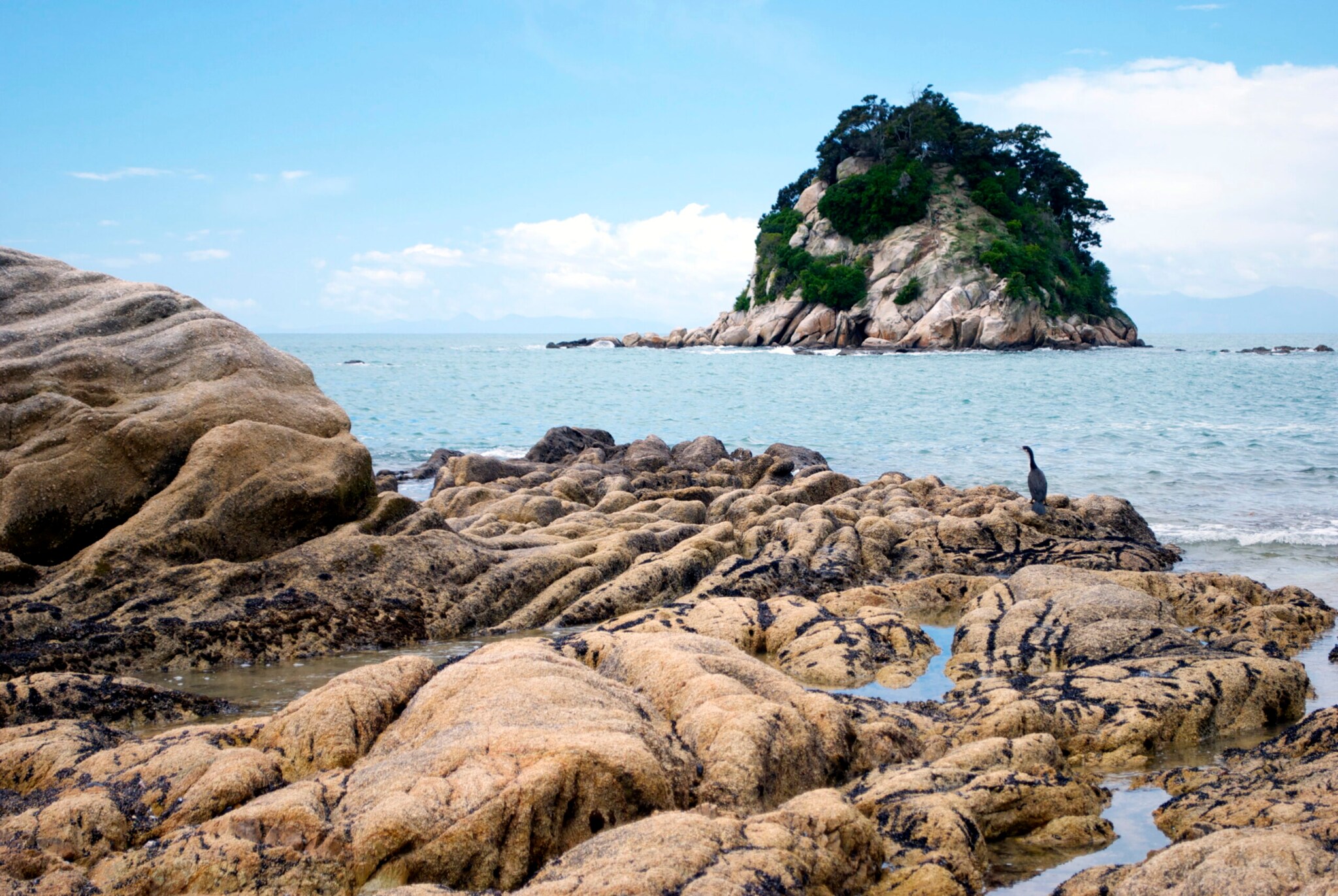 Ein Graureiher sitzt auf einem Felsen, im Hintergrund eine kleine Felseninsel im Meer Ein Graureiher sitzt auf einem Felsen, im Hintergrund eine kleine Felseninsel im Meer