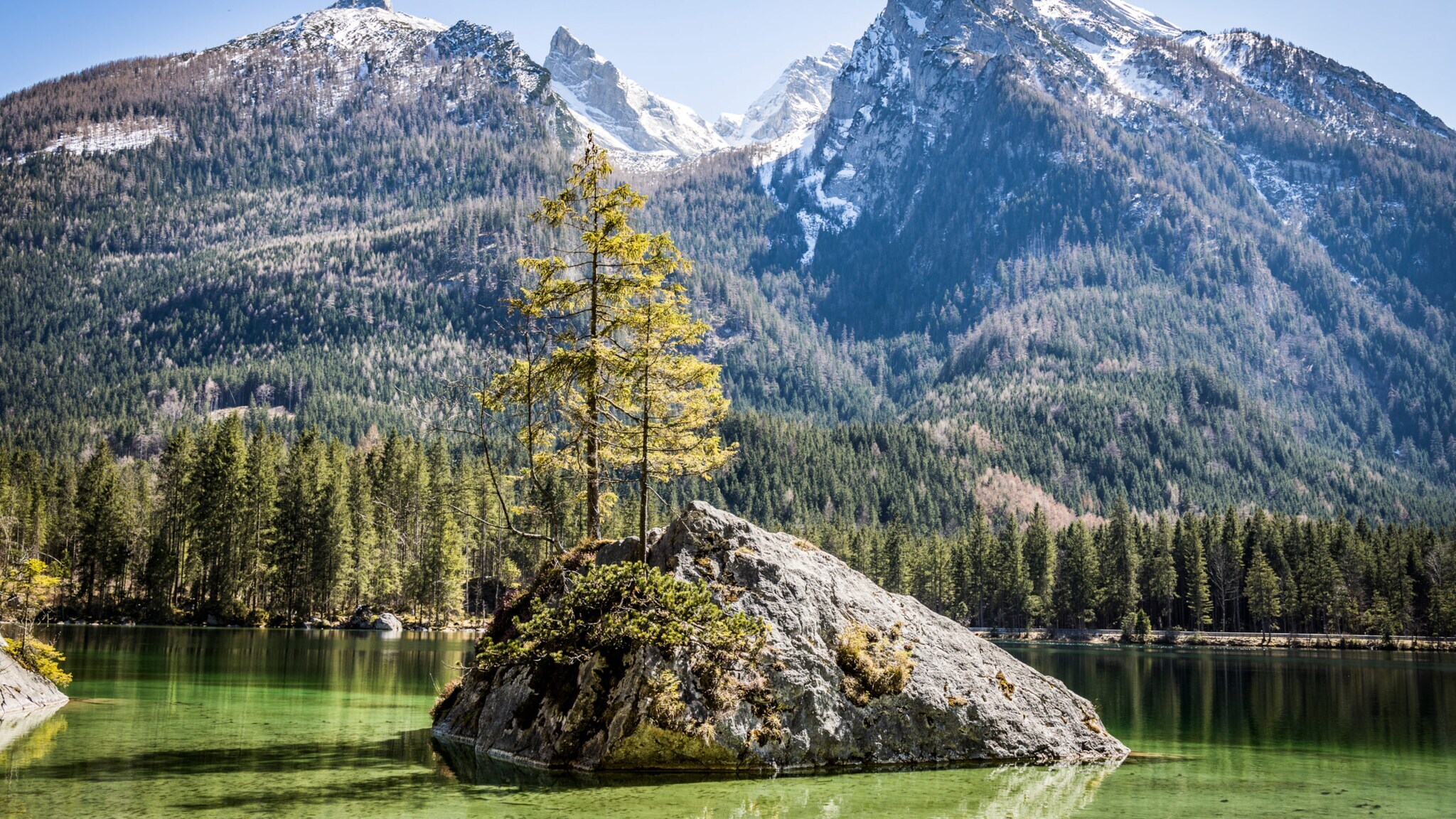 leiner Felsen mit zwei Nadelbäumen in einem klaren Bergsee, umgeben von bewaldeten Bergen und schneebedeckten Gipfeln. leiner Felsen mit zwei Nadelbäumen in einem klaren Bergsee, umgeben von bewaldeten Bergen und schneebedeckten Gipfeln.