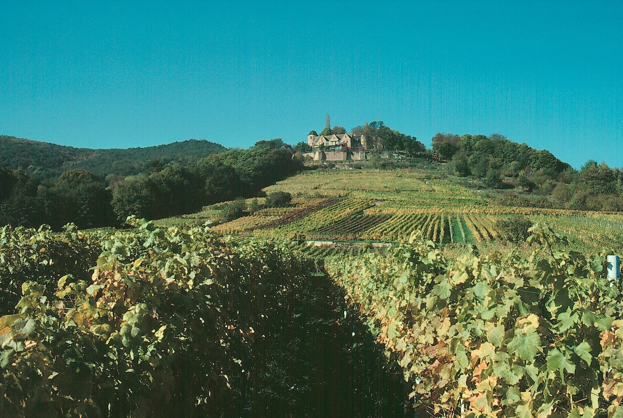 Ein altes Anwesen auf dem Gipfel eines Weinbergs