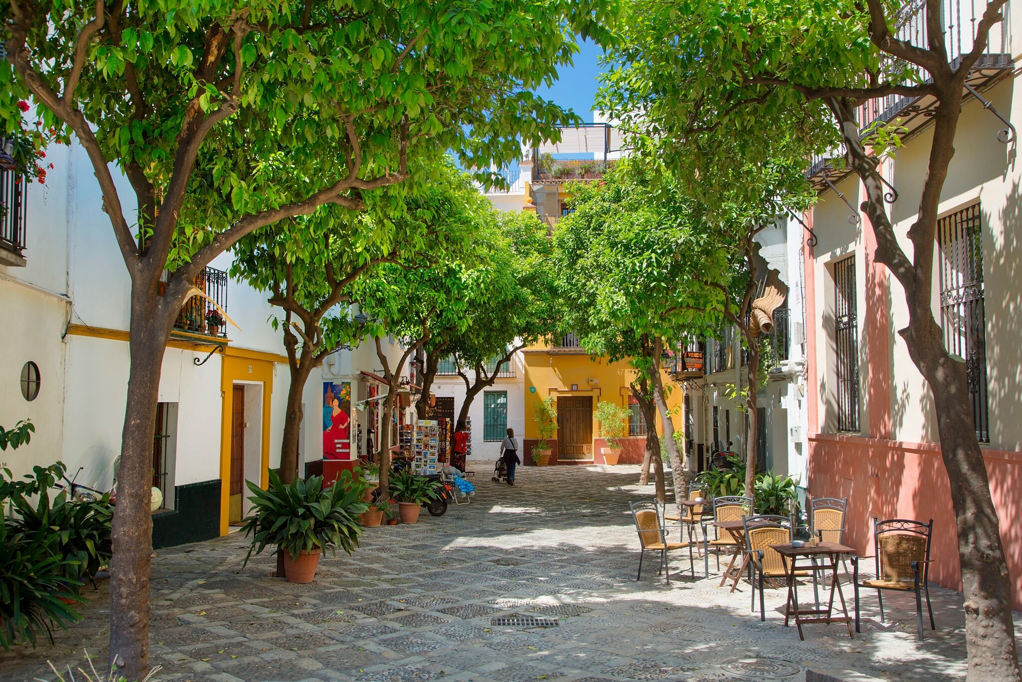 Über einem ruhigen urigen Platz in Sevilla spenden grüne Bäume Schatten. Über einem ruhigen urigen Platz in Sevilla spenden grüne Bäume Schatten.