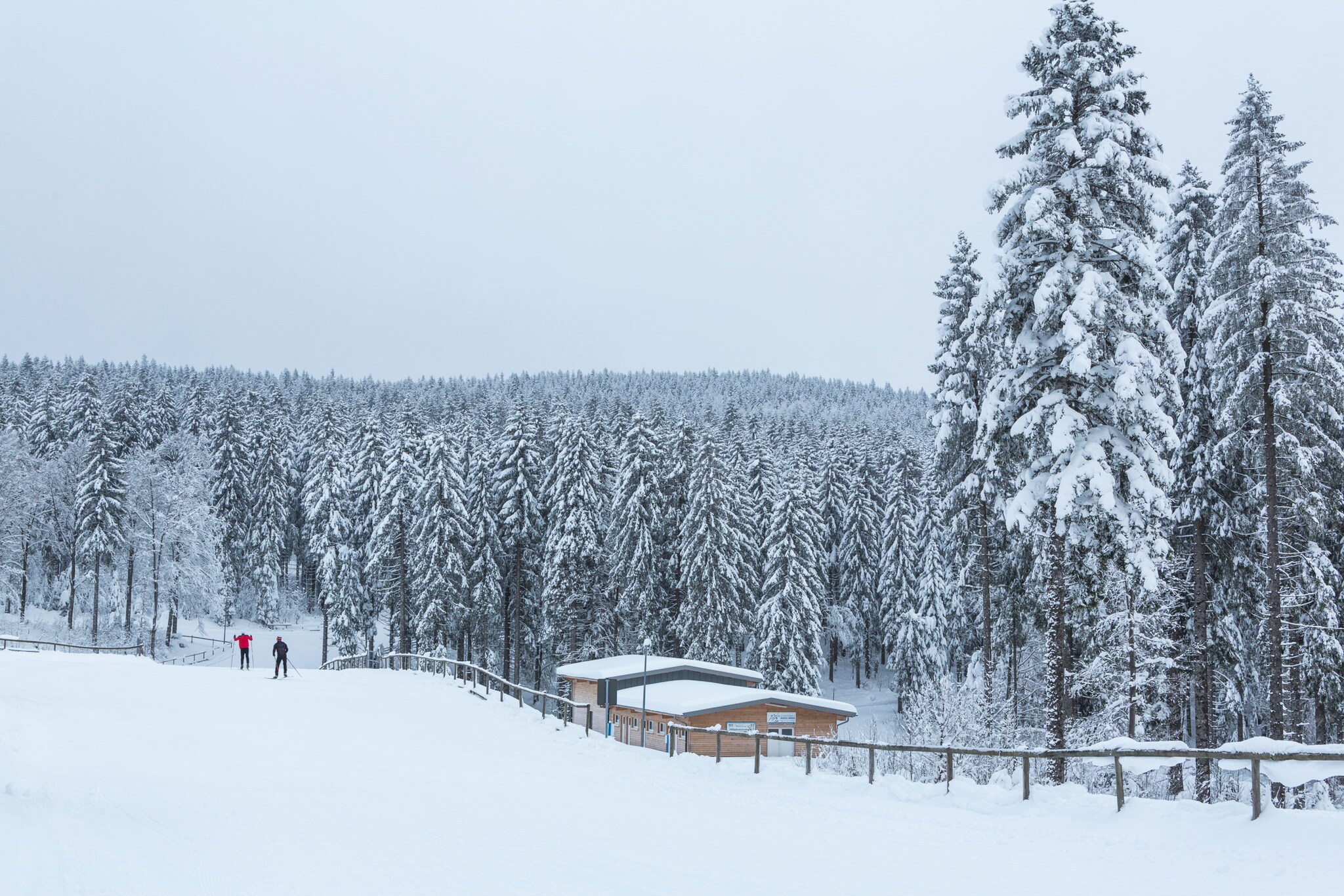 Zwei Skifahrer auf einer verschneiten Langlaufpiste