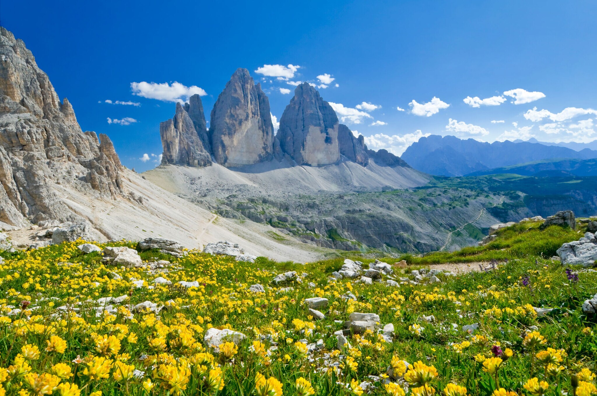 Blick auf drei markante Felstürme der Alpen, im Vordergrund eine Wiese mit gelben Blumen.