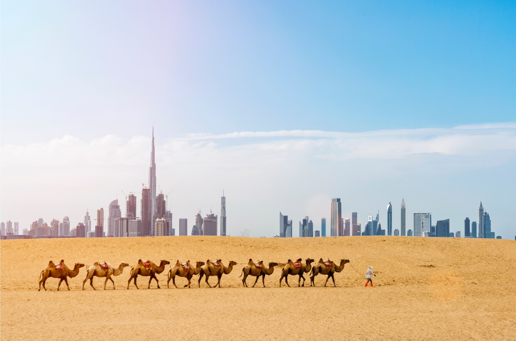 Eine Gruppe Kamele durchquert einen Wüstenabschnitt, im Hintergrund ist die Skyline von Dubai zu sehen