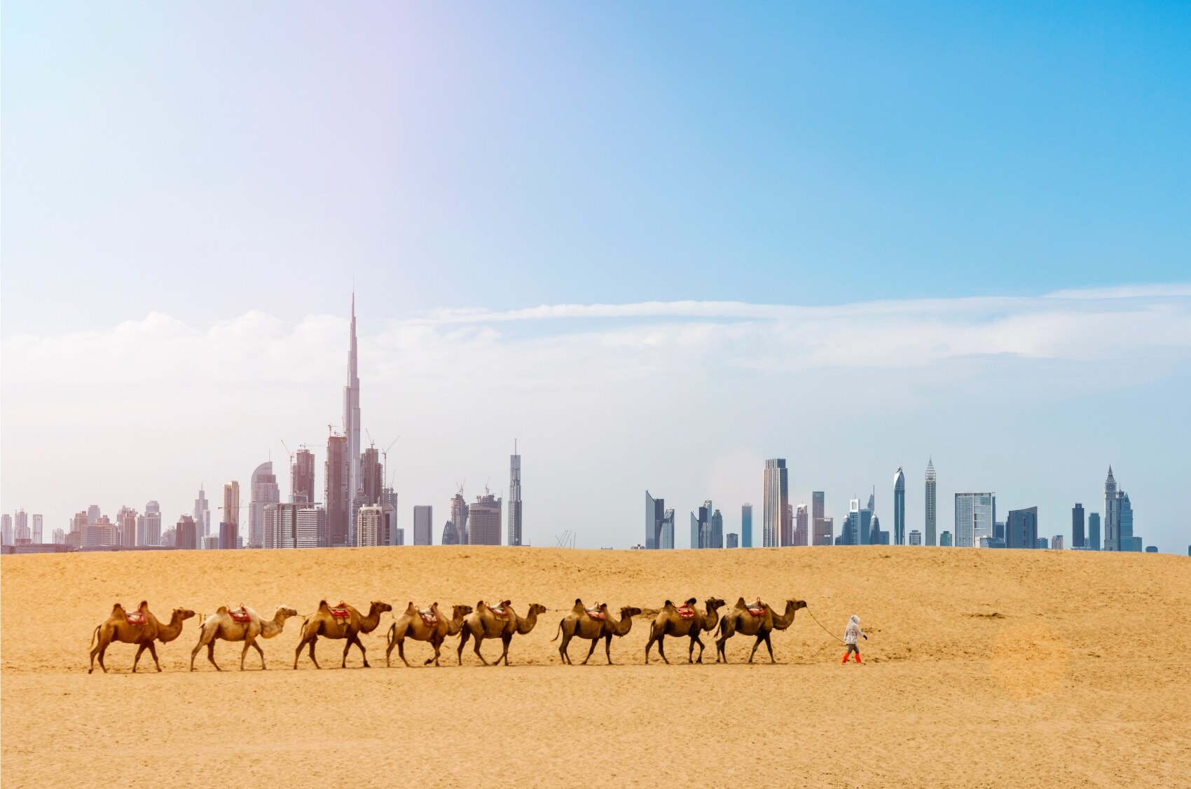 Eine Gruppe Kamele durchquert einen Wüstenabschnitt, im Hintergrund ist die Skyline von Dubai zu sehen Eine Gruppe Kamele durchquert einen Wüstenabschnitt, im Hintergrund ist die Skyline von Dubai zu sehen