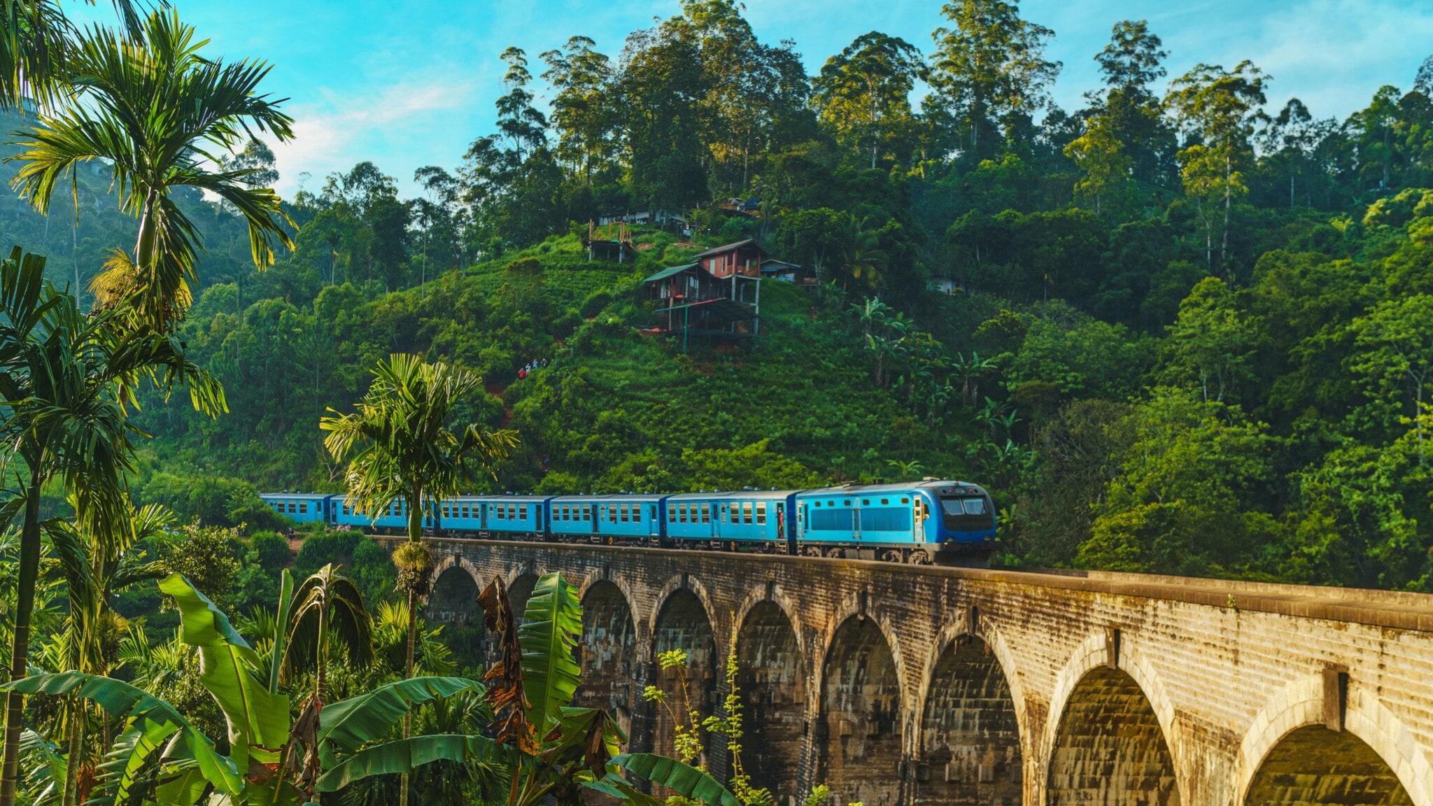 Ein blauer Zug fährt über eine hohe Steinbrücke in einer grünen, hügeligen Landschaft mit Bäumen und Pflanzen. Ein blauer Zug fährt über eine hohe Steinbrücke in einer grünen, hügeligen Landschaft mit Bäumen und Pflanzen.
