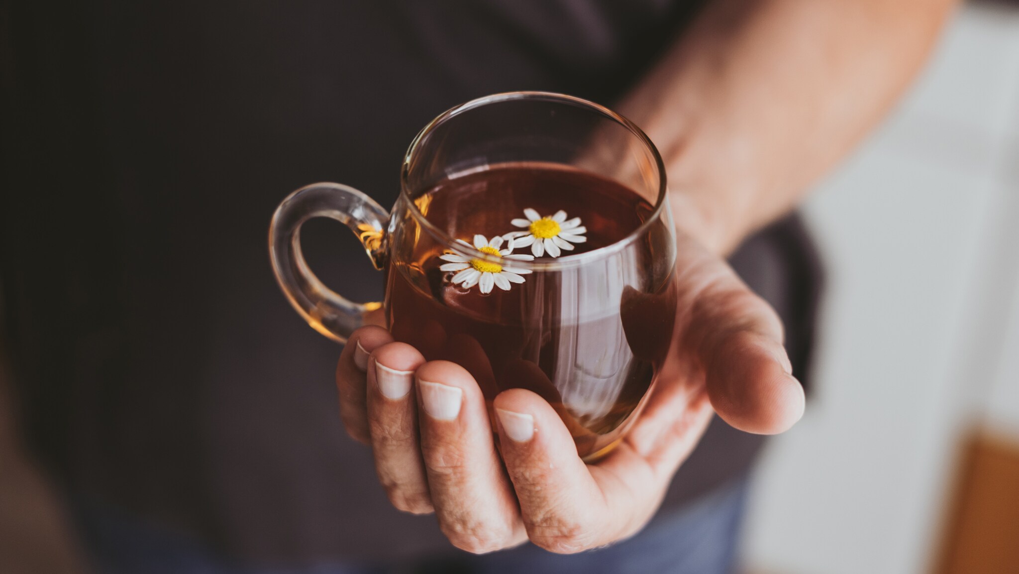 Eine Person hält ein durchsichtiges Glas mit Kamillentee, in dem drei kleine Blüten schwimmen.