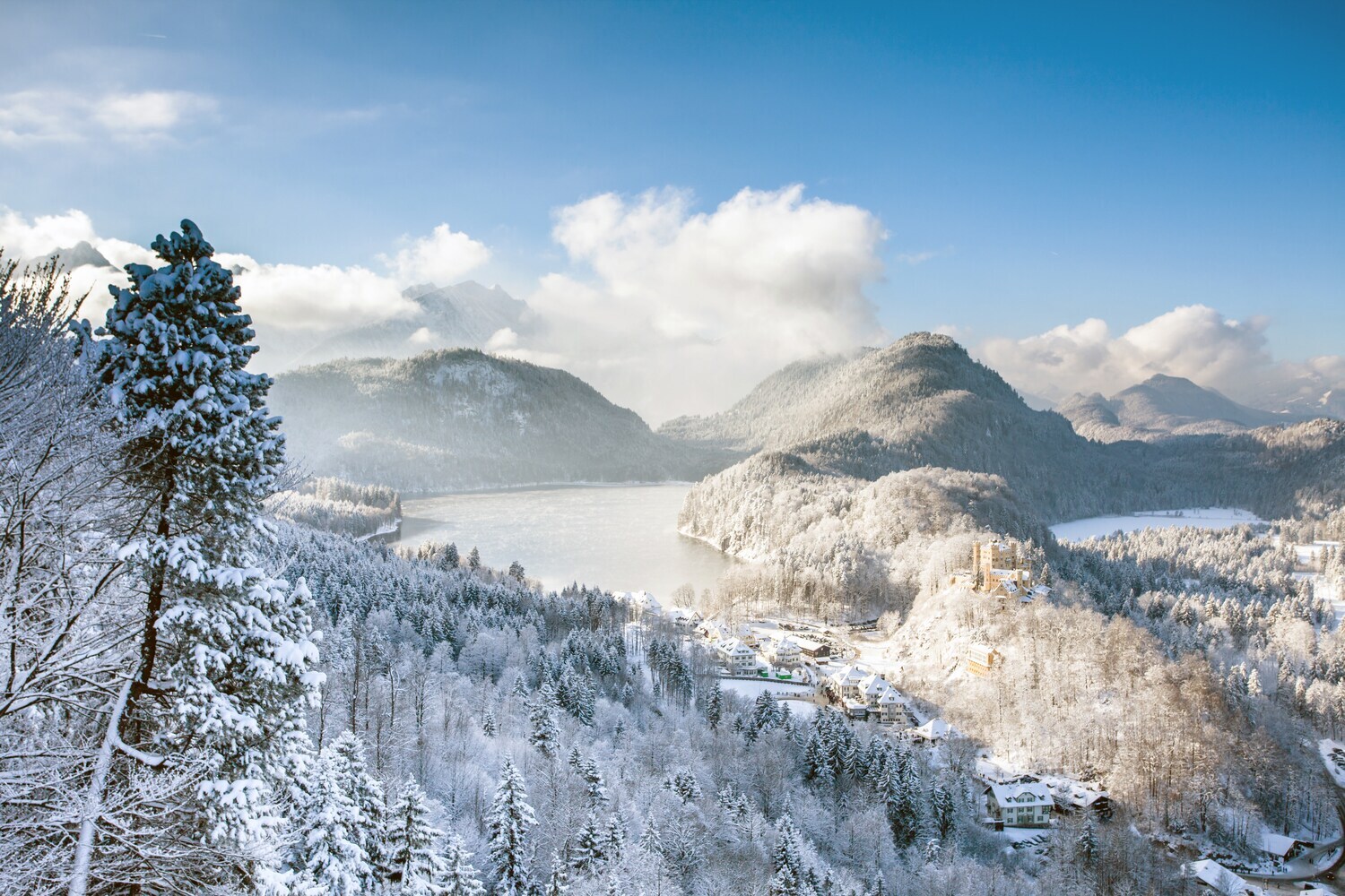 Winterlicher Blick auf den Alpsee