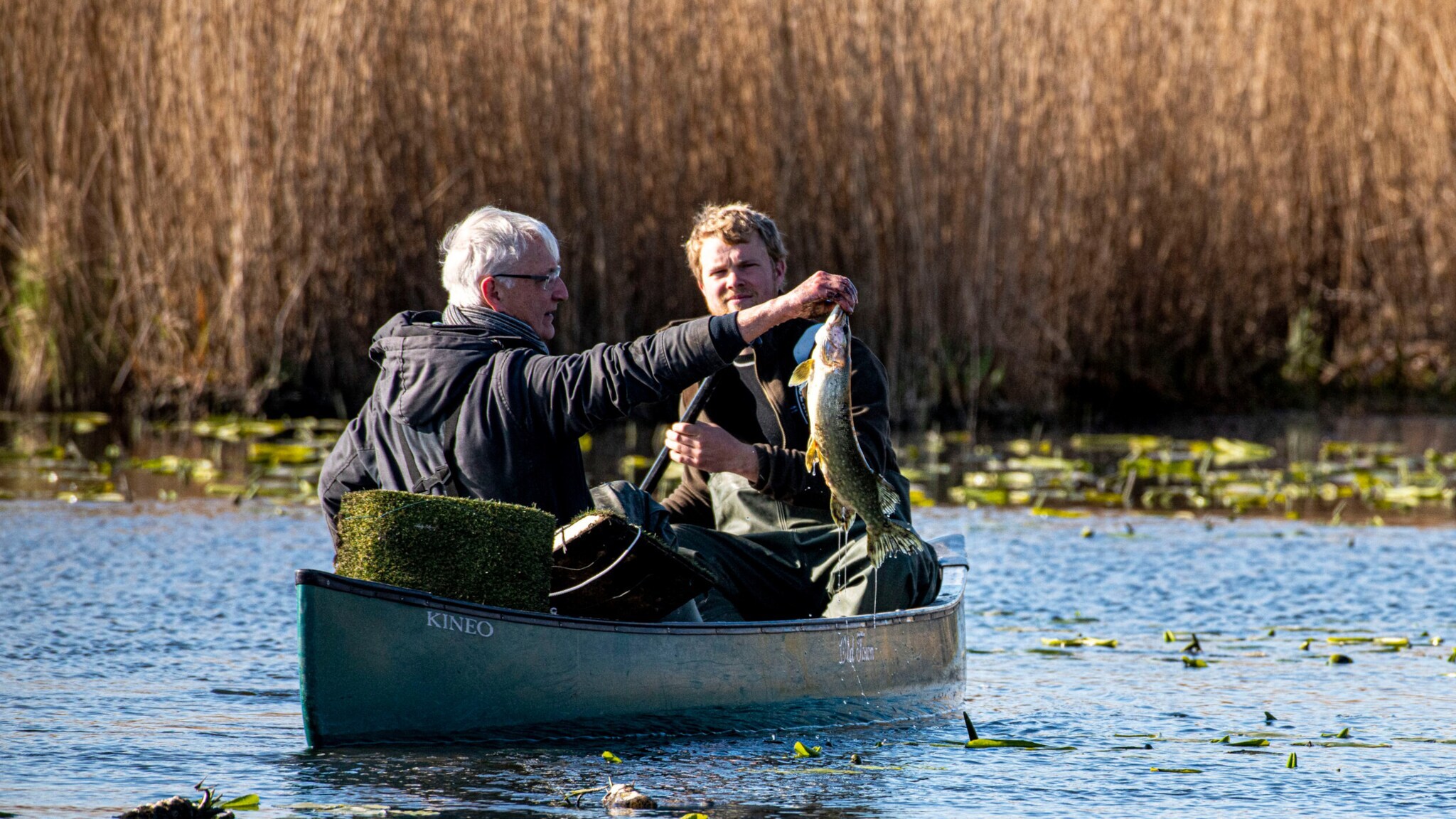 Zwei Personen in einem Kanu auf einem See, eine hält einen großen Fisch hoch, Schilf im Hintergrund.