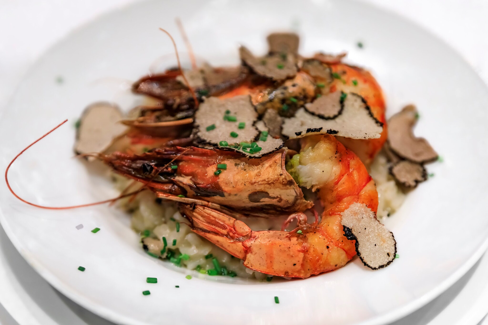 Teller mit Garnelen und Trüffelscheiben.