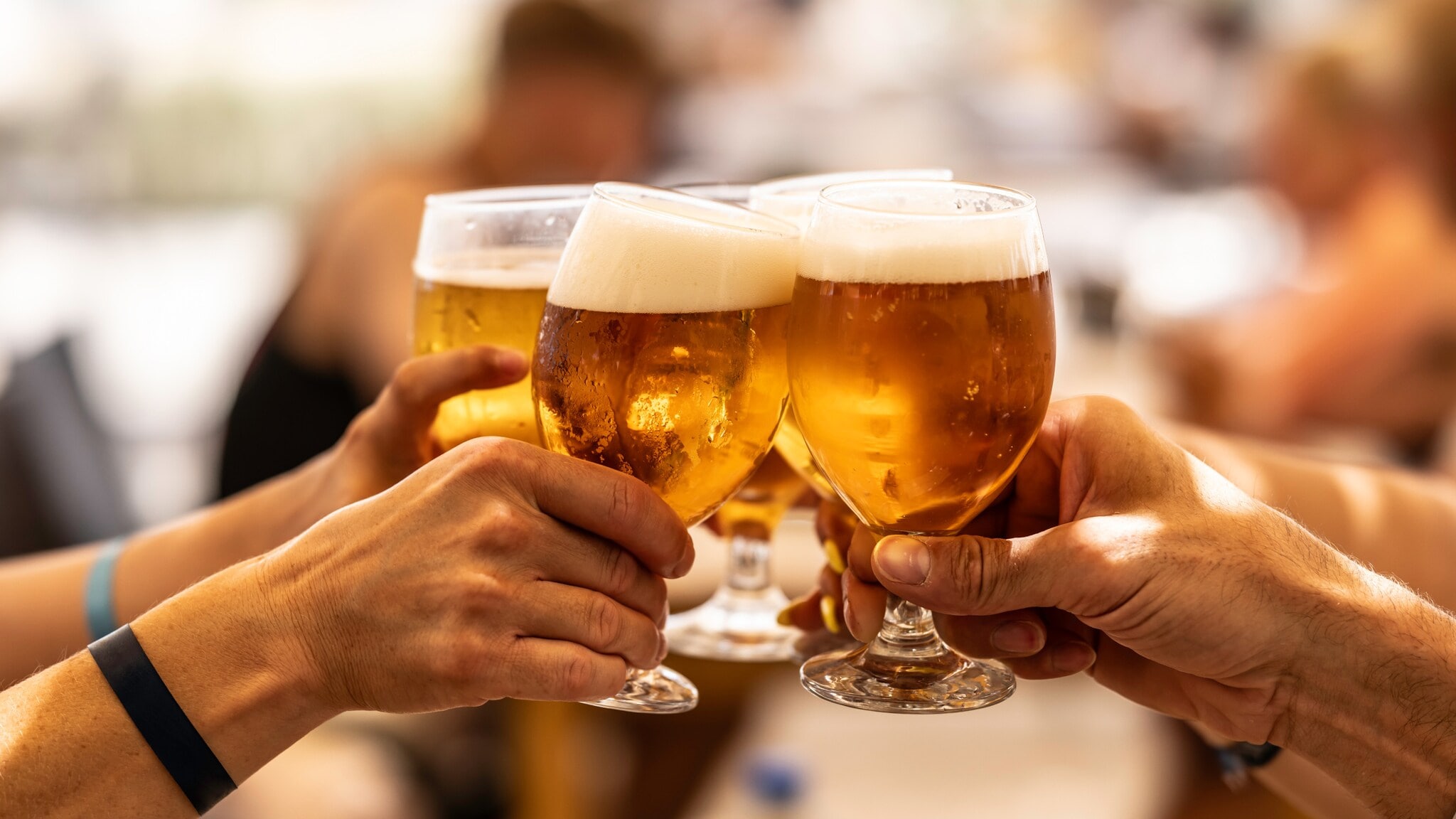 Vier Gläser mit Bier werden zum Anstoßen gehalten. Zwei Gläser sind in der Hand einer Person mit einem blauen Armband. Die Biere haben eine goldene Farbe und eine schaumige Oberseite. Vier Gläser mit Bier werden zum Anstoßen gehalten. Zwei Gläser sind in der Hand einer Person mit einem blauen Armband. Die Biere haben eine goldene Farbe und eine schaumige Oberseite.