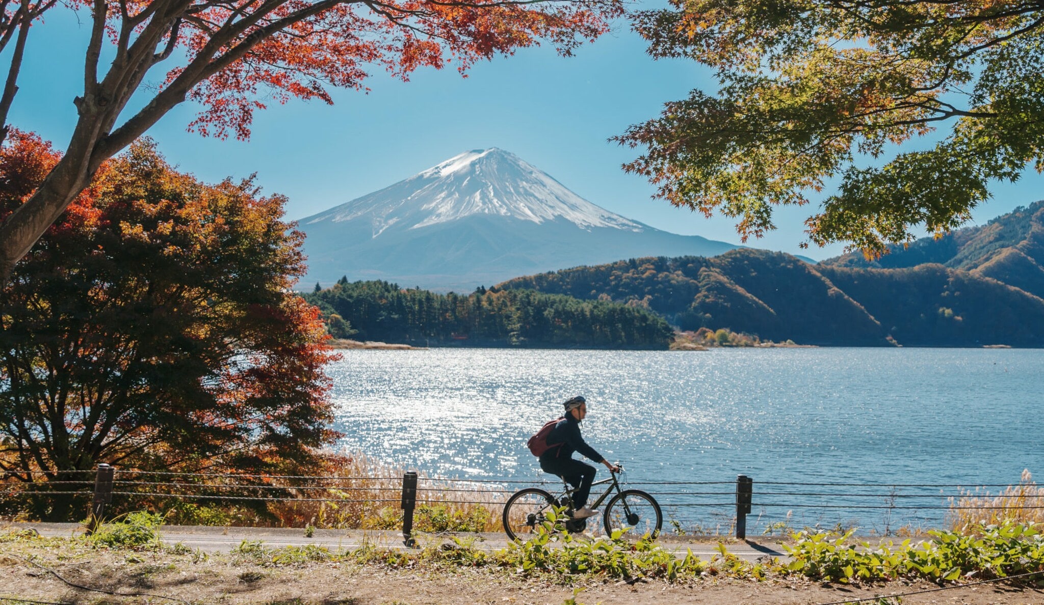 Radfahrer unter herbstlichen Bäumen am Kawaguchi-See, vor der malerischen Kulisse des Mount Fuji. Radfahrer unter herbstlichen Bäumen am Kawaguchi-See, vor der malerischen Kulisse des Mount Fuji.