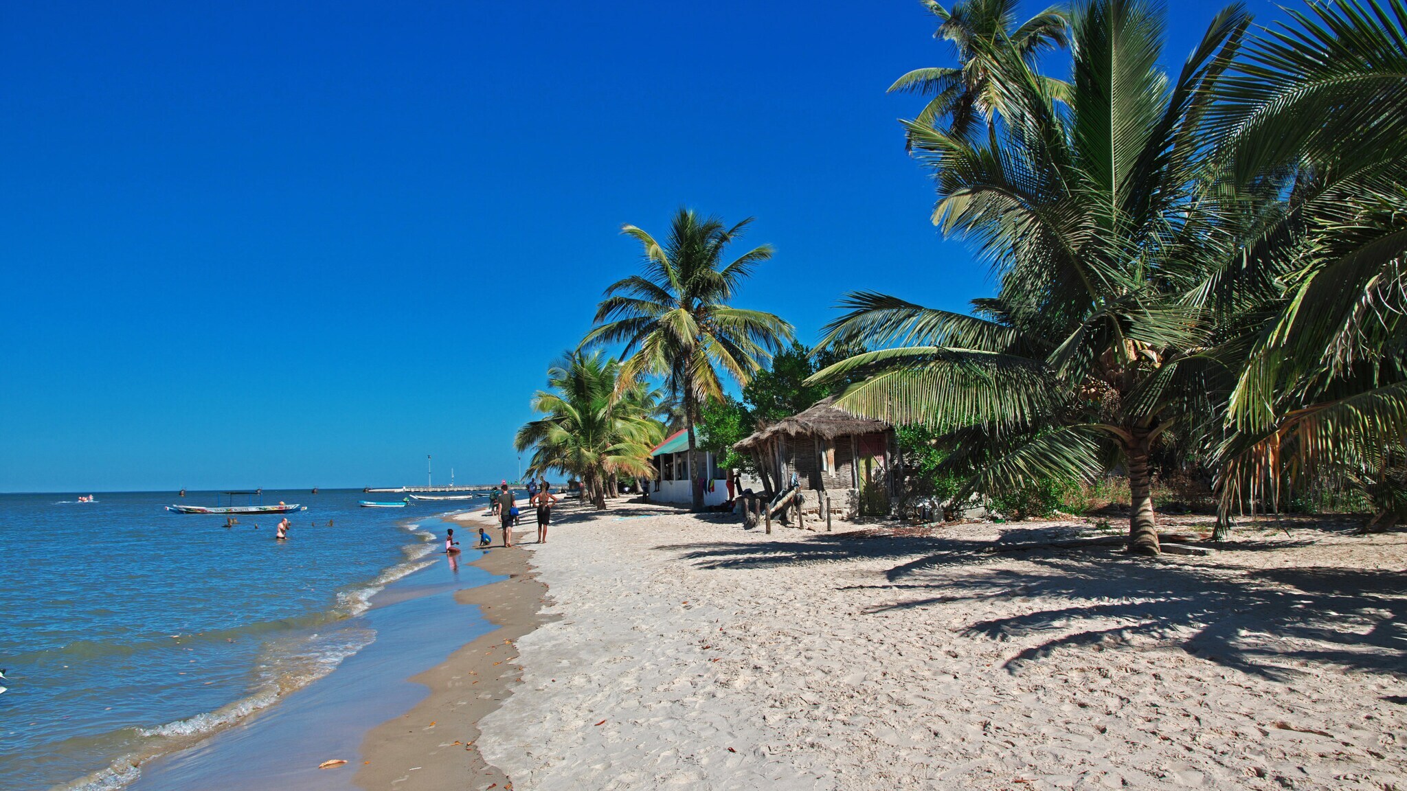 Personen an einem tropischen Sandstrand mit Palmen unter blauem Himmel.