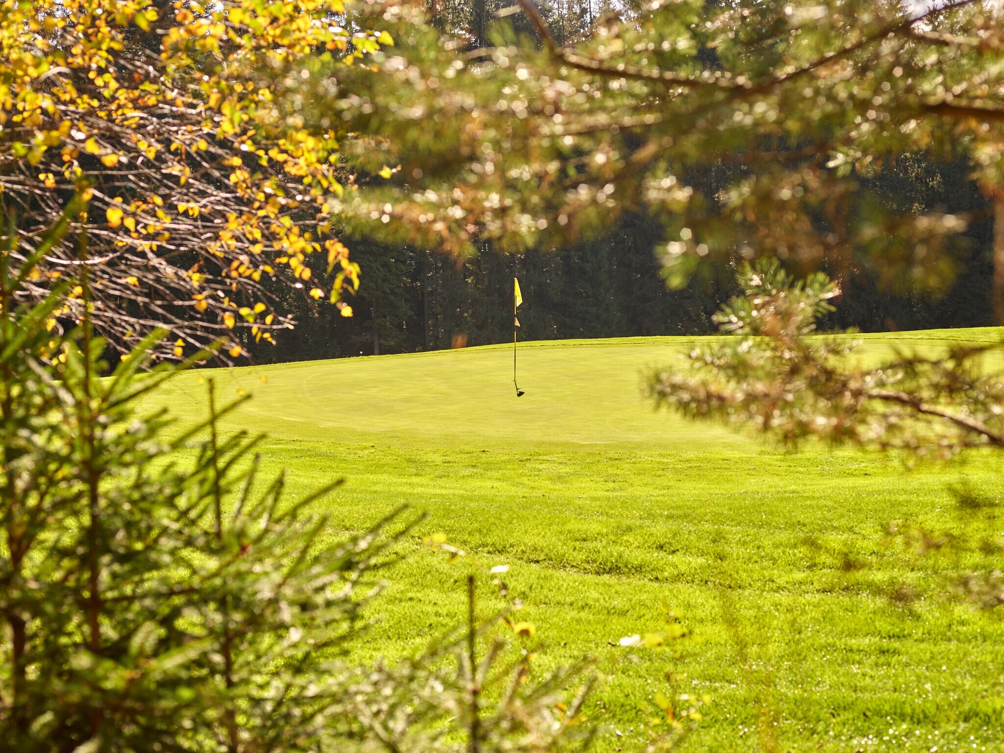 Ein Hügel mit gelber Fahne auf dem Golfplatz
