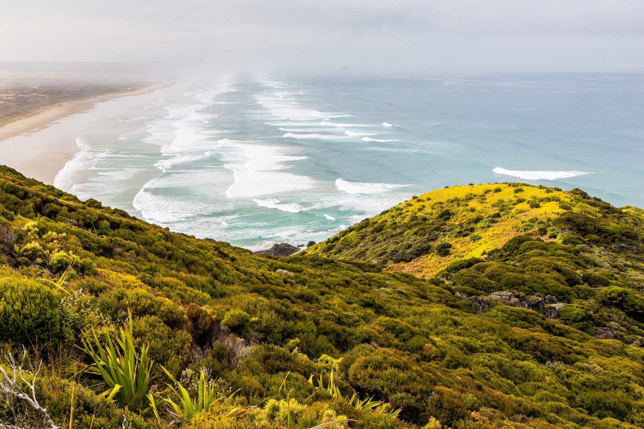 Blick von einem begrünten Hügel auf einen endlosen Strand und Meer