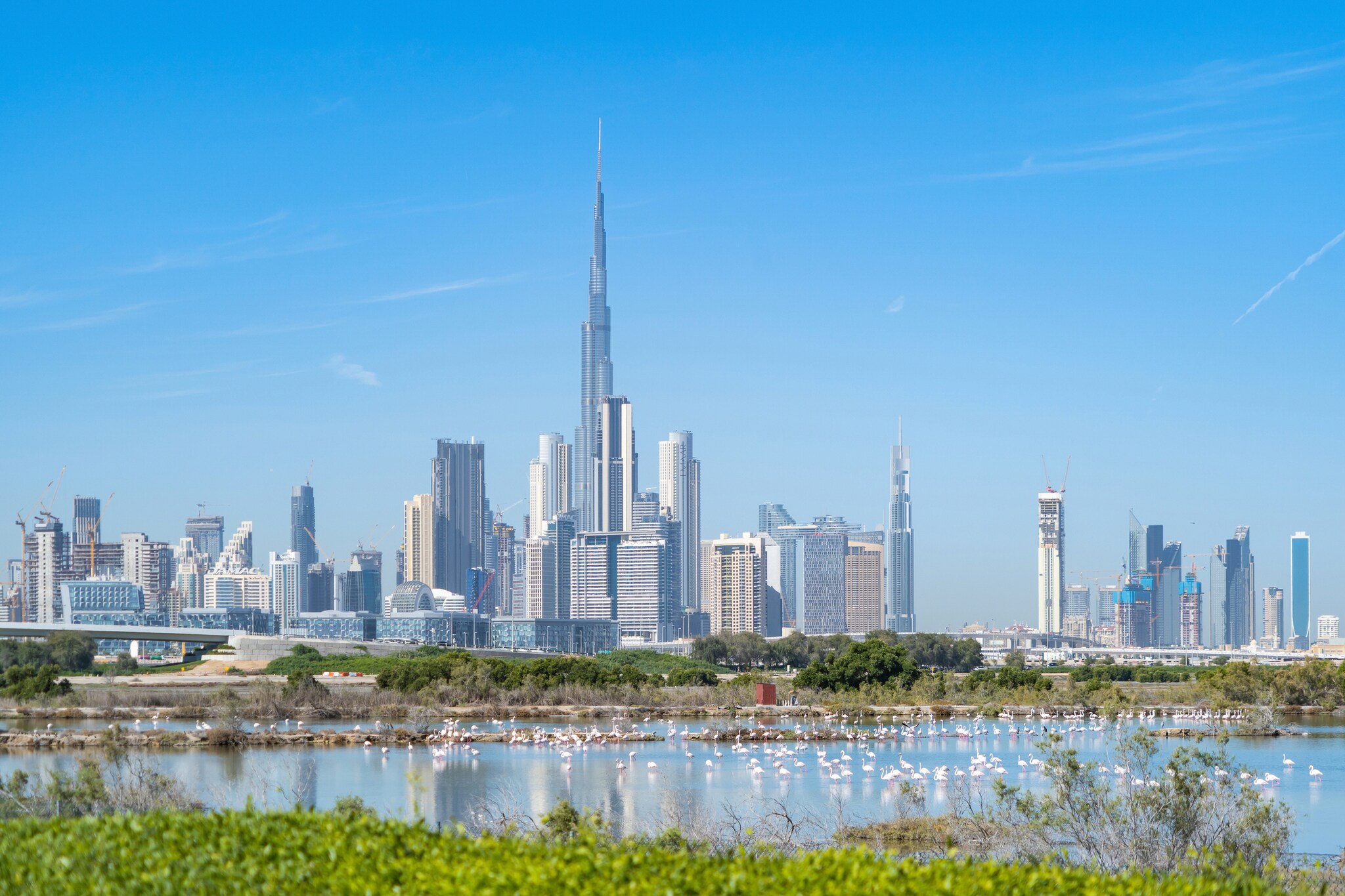 Die Skyline von Dubai, davor ein Gewässer mit Flamingos Die Skyline von Dubai, davor ein Gewässer mit Flamingos