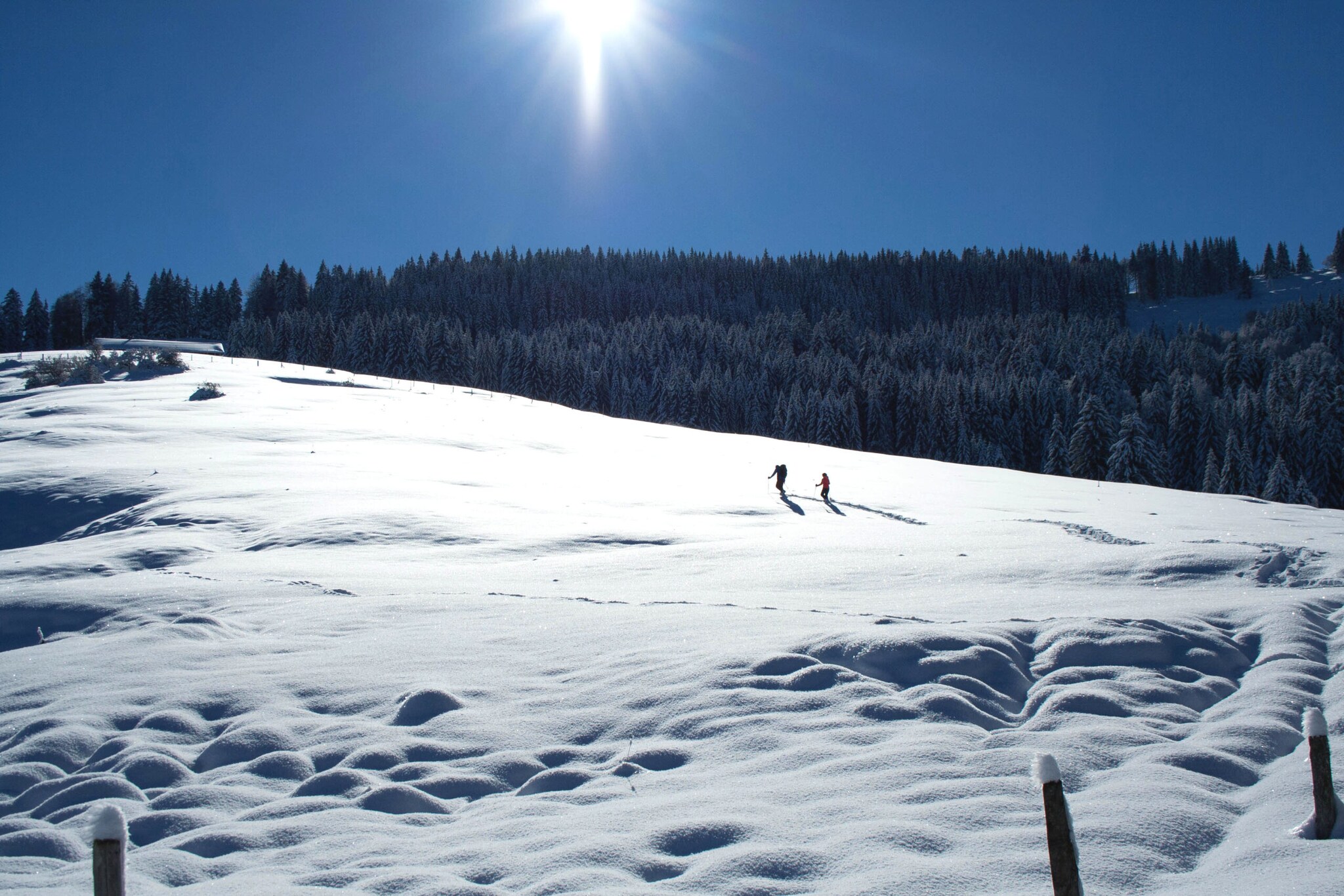 Zwei Menschen wandern über einen verschneiten Hügel.