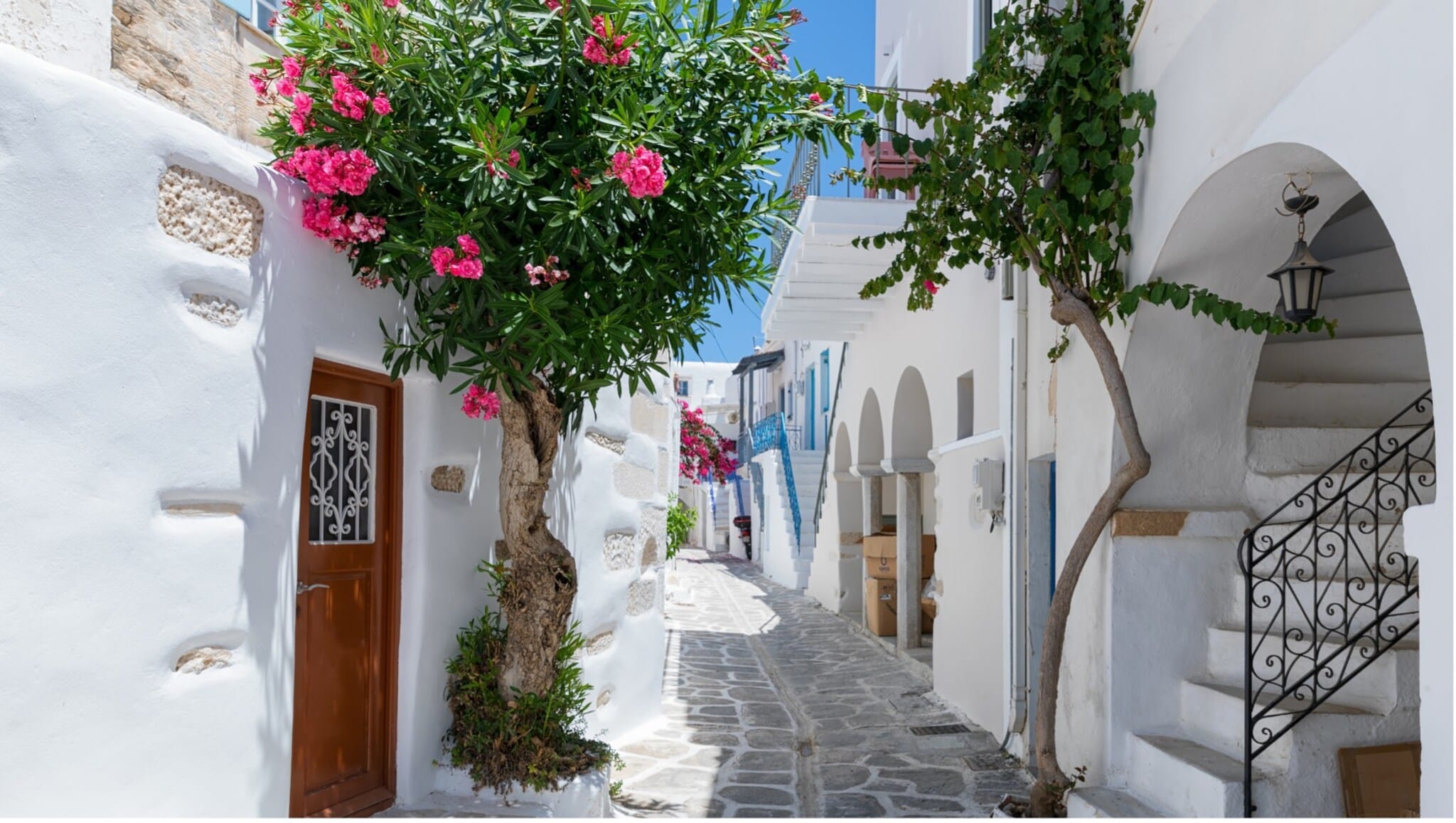 Enger gepflasterter Gehweg zwischen weißen Häusern mit blühendem Oleanderbaum und einer Treppe mit schwarzem Geländer unter blauem Himmel Enger gepflasterter Gehweg zwischen weißen Häusern mit blühendem Oleanderbaum und einer Treppe mit schwarzem Geländer unter blauem Himmel