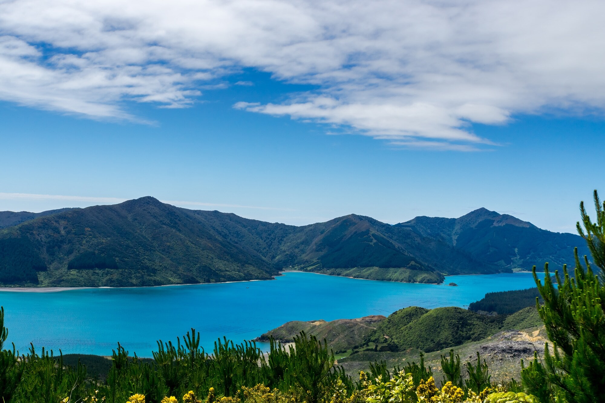 Blick auf die Marlborough Sounds mit türkisblauem Wasser und Bergen im Hintergrund. Blick auf die Marlborough Sounds mit türkisblauem Wasser und Bergen im Hintergrund.