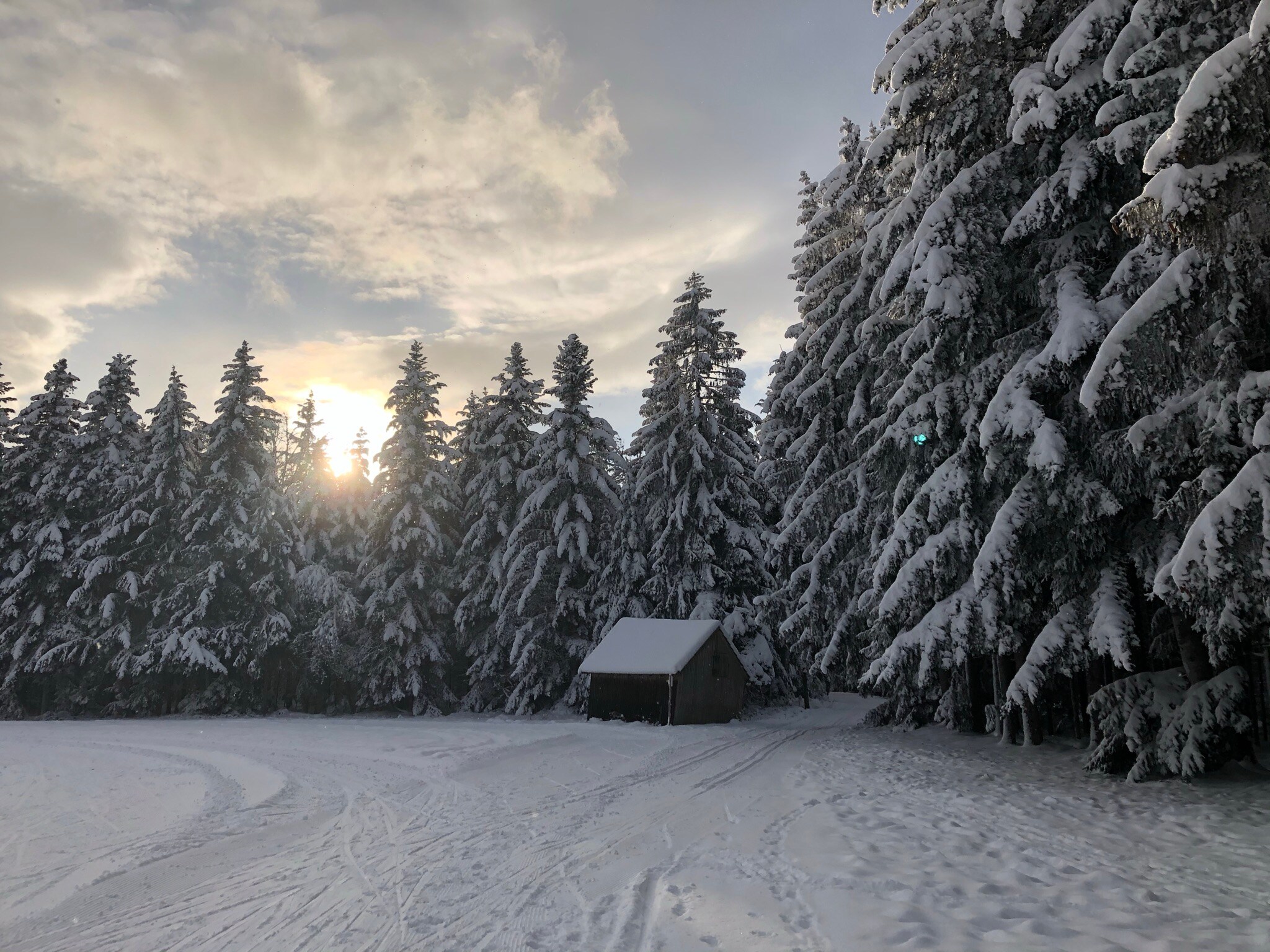 Eine einsame Holzhütte vor einer verschneiten Waldlandschaft