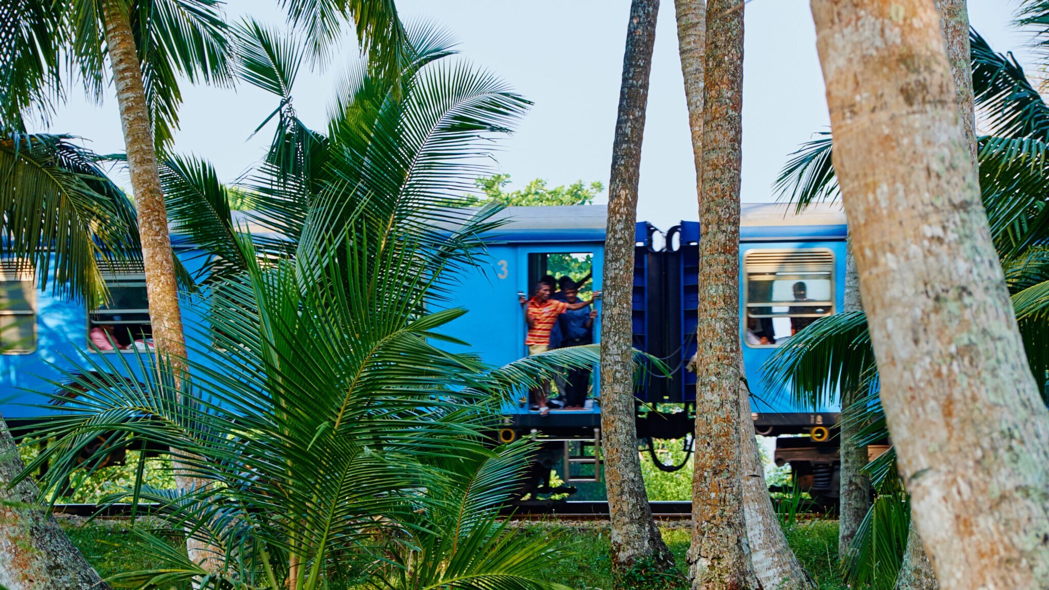Ein blauer Zug steht zwischen Palmen. Eine Person in orangefarbener Kleidung lehnt aus der Zugtür. Grüne Wiese im Vordergrund.