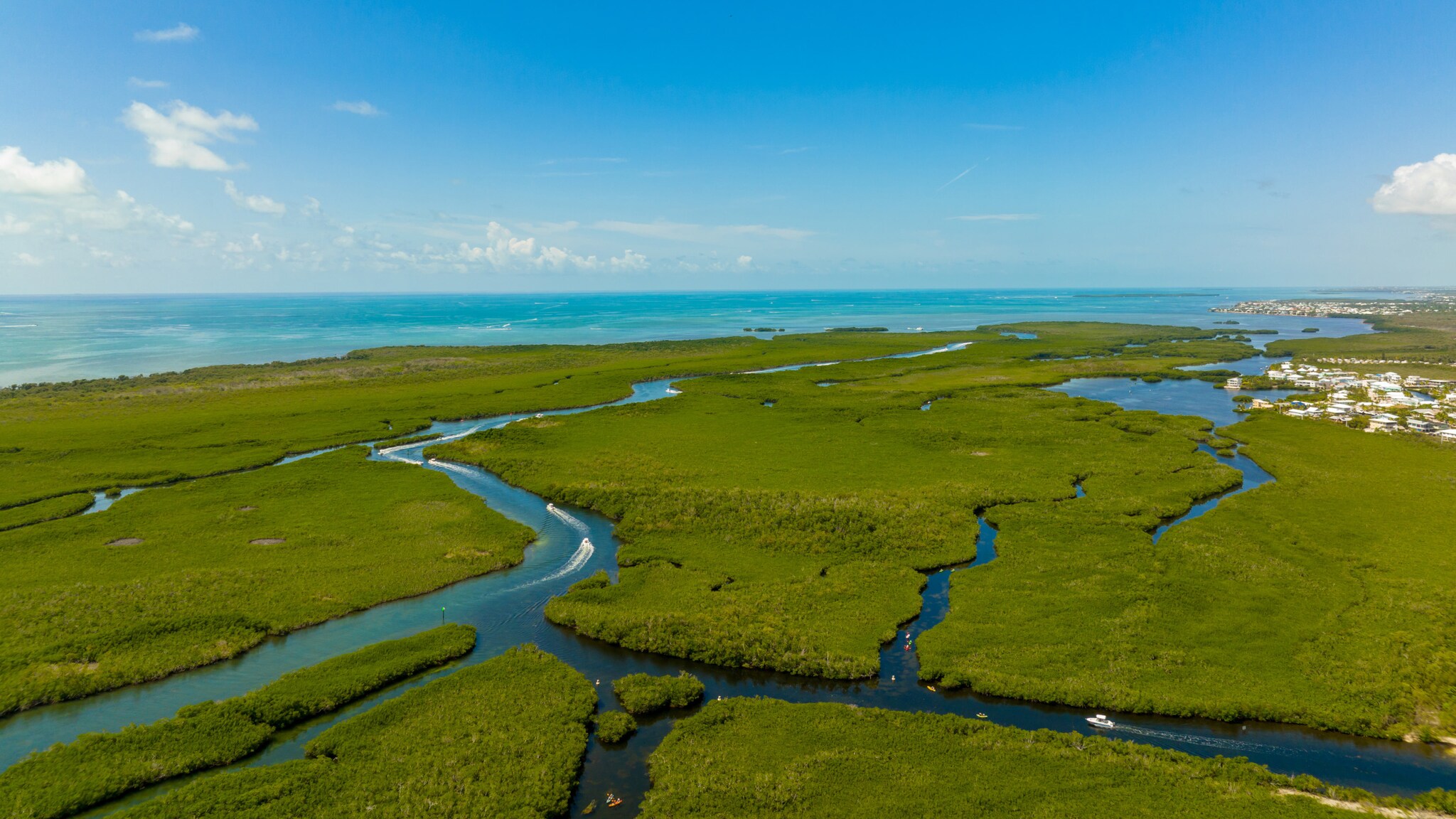 Boote in einem Sumpfgebiet mit Mangrovenwäldern aus der Luftperspektive.