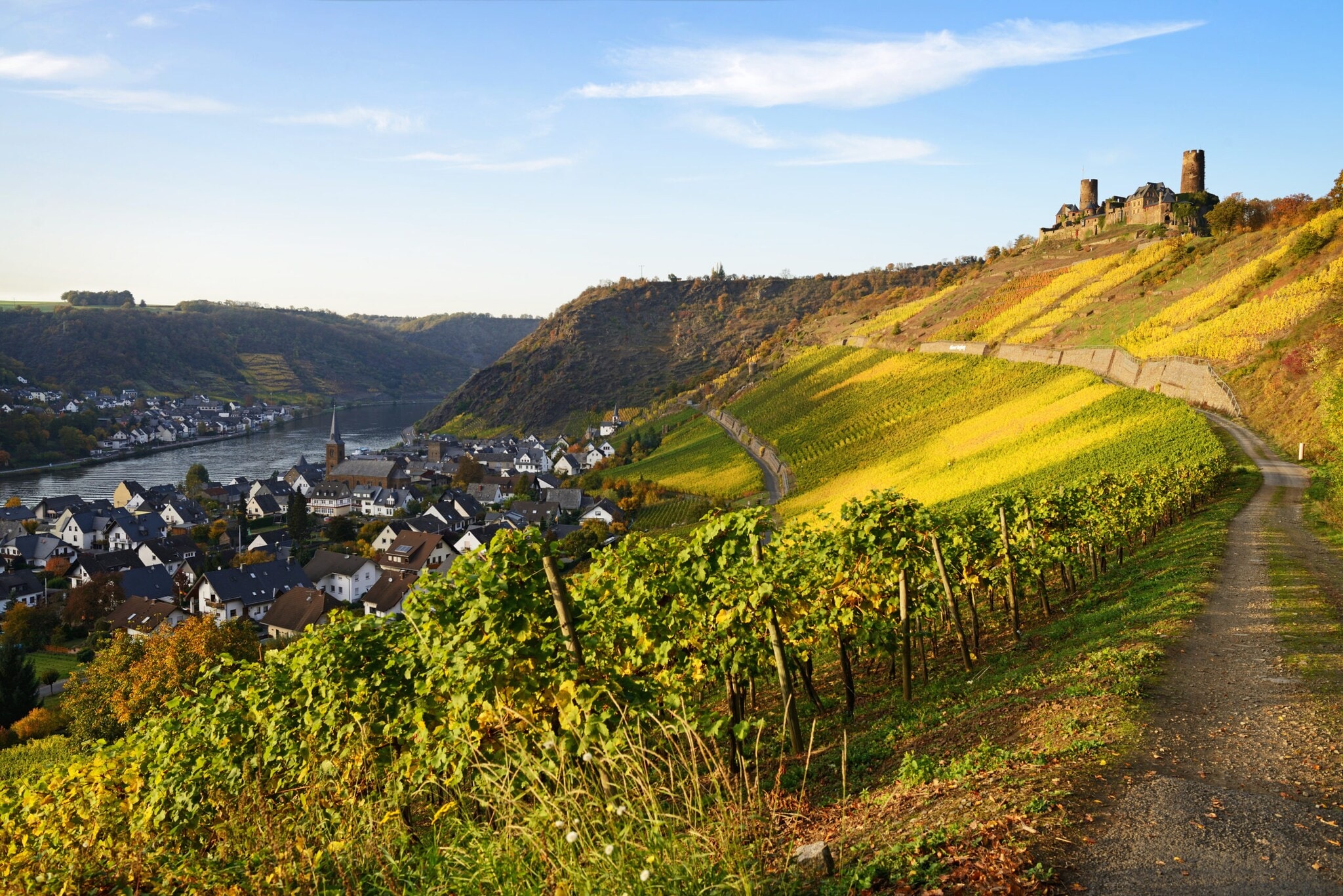 Weinberge und eine kleine Stadt an der Mosel Weinberge und eine kleine Stadt an der Mosel
