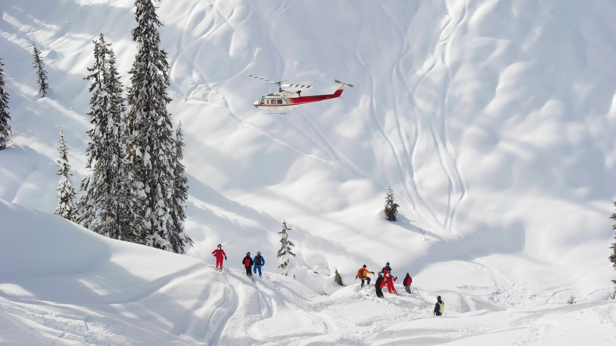 Ein Helikopter fliegt über eine Personengruppe auf Skiern im Tiefschnee an einem Berghang. Ein Helikopter fliegt über eine Personengruppe auf Skiern im Tiefschnee an einem Berghang.