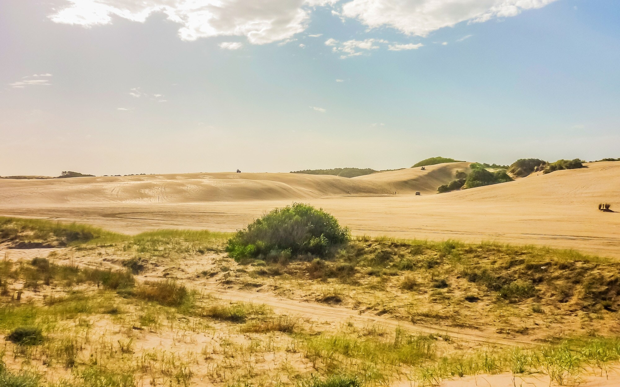 Eine menschenleere Dünenlandschaft, stellenweise mit Gras und Sträuchern bewachsen Eine menschenleere Dünenlandschaft, stellenweise mit Gras und Sträuchern bewachsen