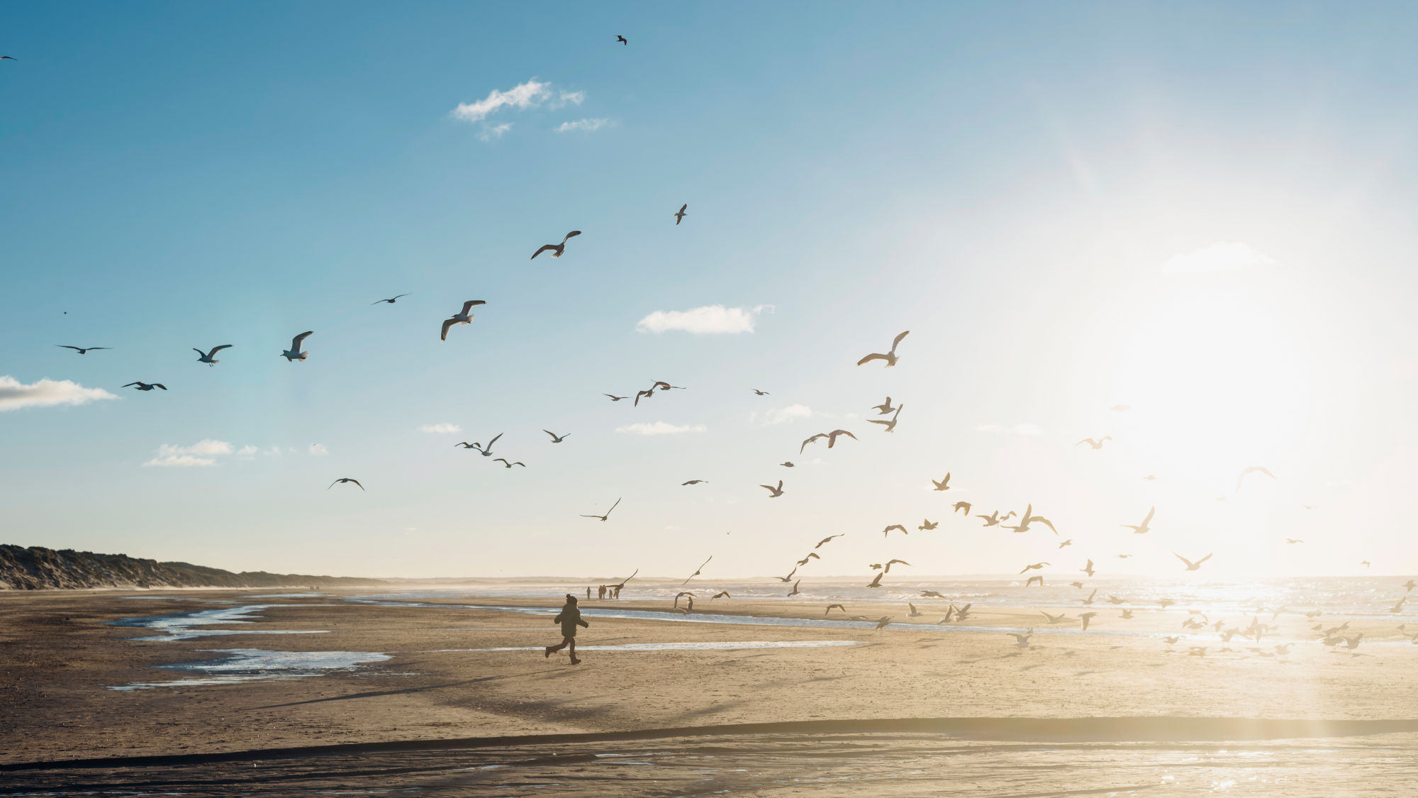 Person läuft am Strand in Dänemark umgeben von fliegenden Möwen, bei sonnigem Himmel mit wenigen Wolken. Person läuft am Strand in Dänemark umgeben von fliegenden Möwen, bei sonnigem Himmel mit wenigen Wolken.