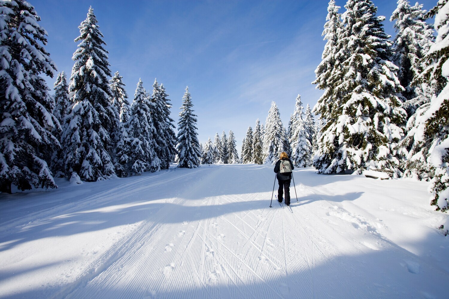 Eine Frau läuft auf Langlaufskiern durch einen schneebedeckten Wald.