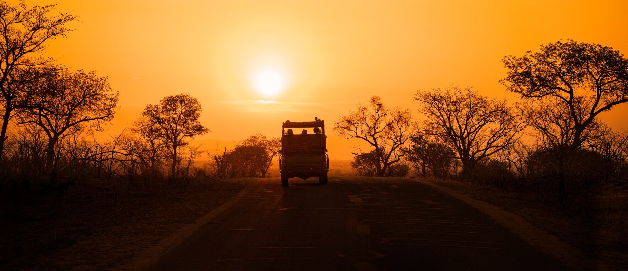 Silhouette eines Safarifahrzeugs, das auf einer Straße durch die Savanne im Sonnenuntergang fährt Silhouette eines Safarifahrzeugs, das auf einer Straße durch die Savanne im Sonnenuntergang fährt