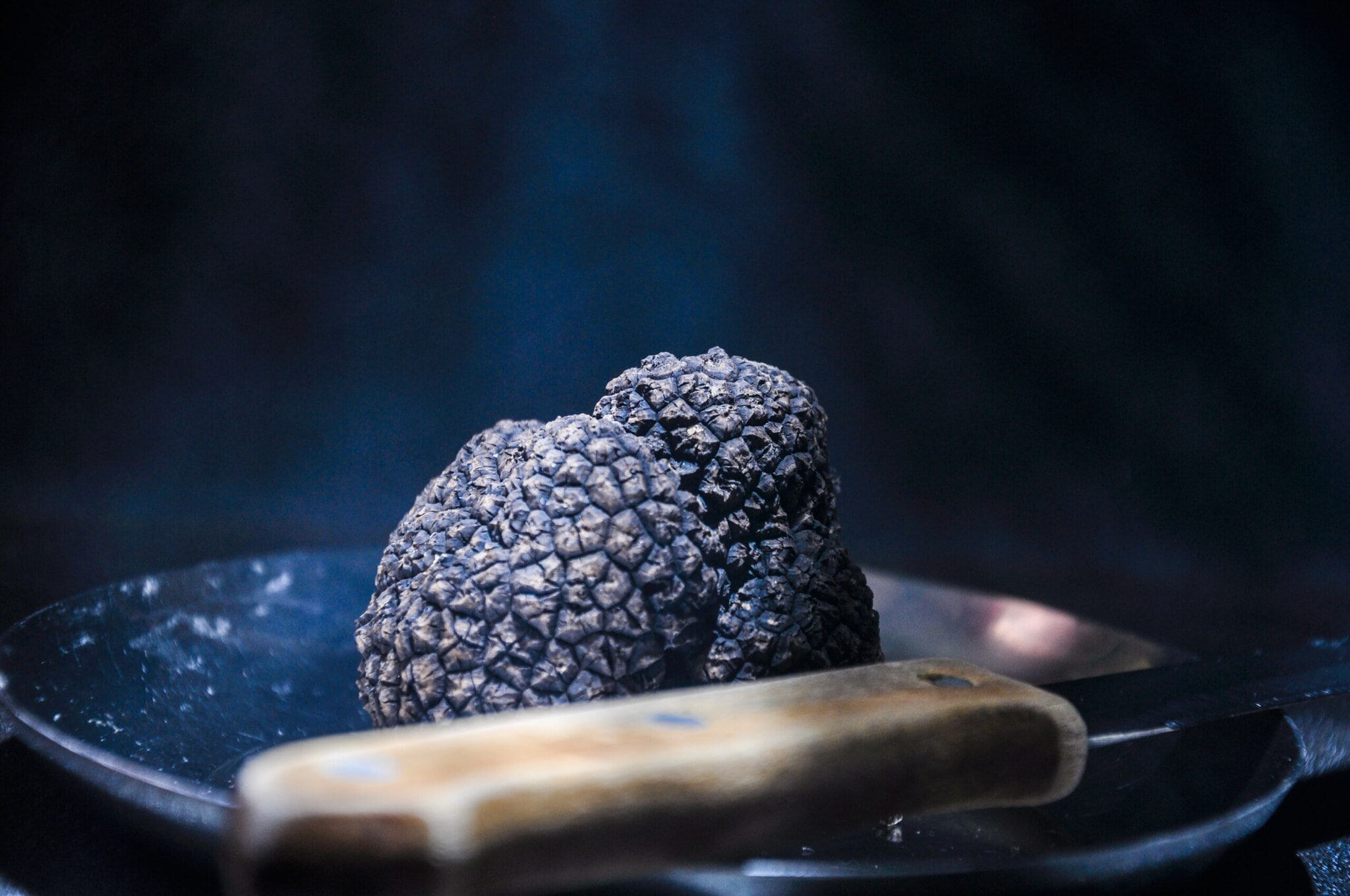 Dunkle Trüffel auf einem Teller, daneben ein Messer mit Holzgriff. Dunkle Trüffel auf einem Teller, daneben ein Messer mit Holzgriff.