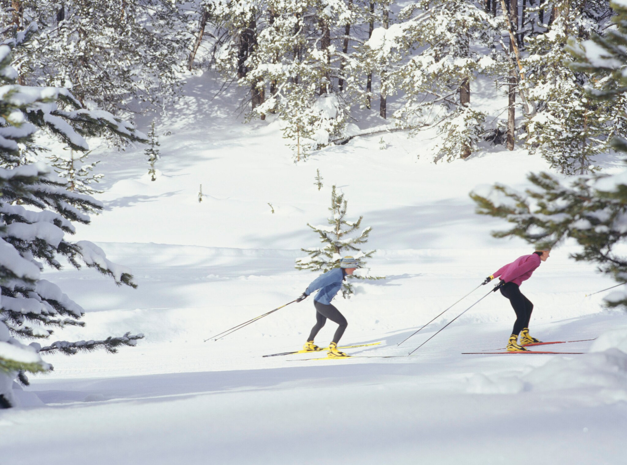 Zwei Langläufer auf Ski im schneebedeckten Wald