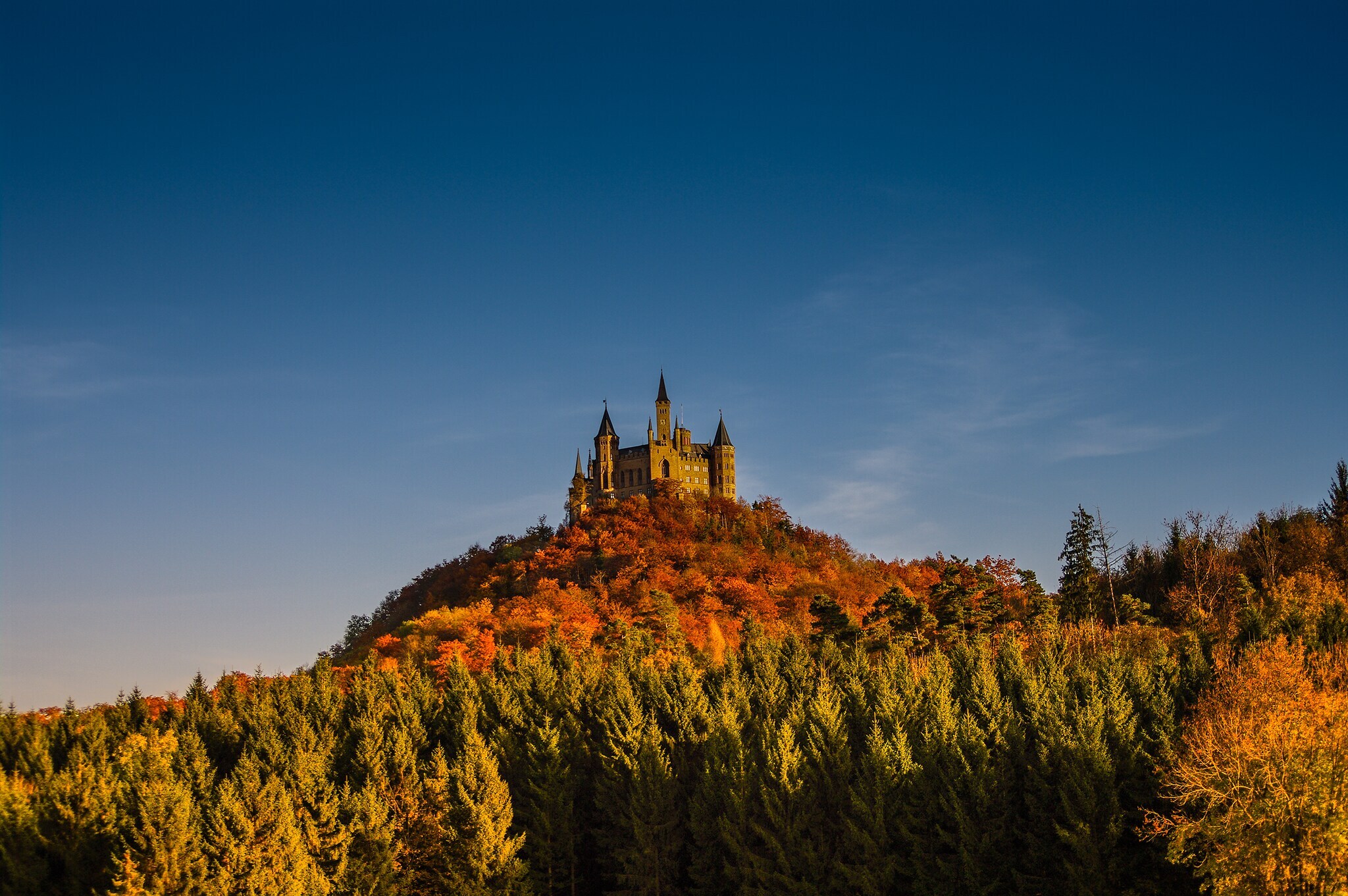 Panoramablick auf eine Burg auf einem Hügel, umgeben von Wald