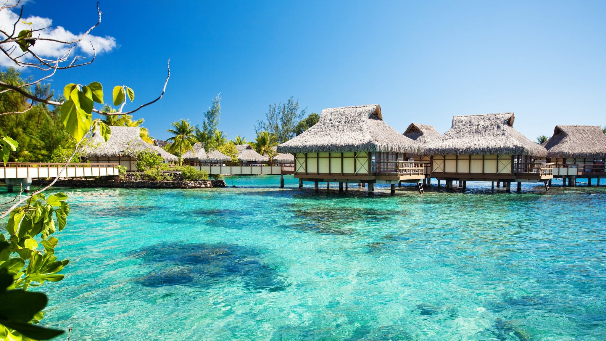 Überwasserbungalows mit Strohdächern über klarem, türkisfarbenem Wasser unter blauem Himmel Überwasserbungalows mit Strohdächern über klarem, türkisfarbenem Wasser unter blauem Himmel