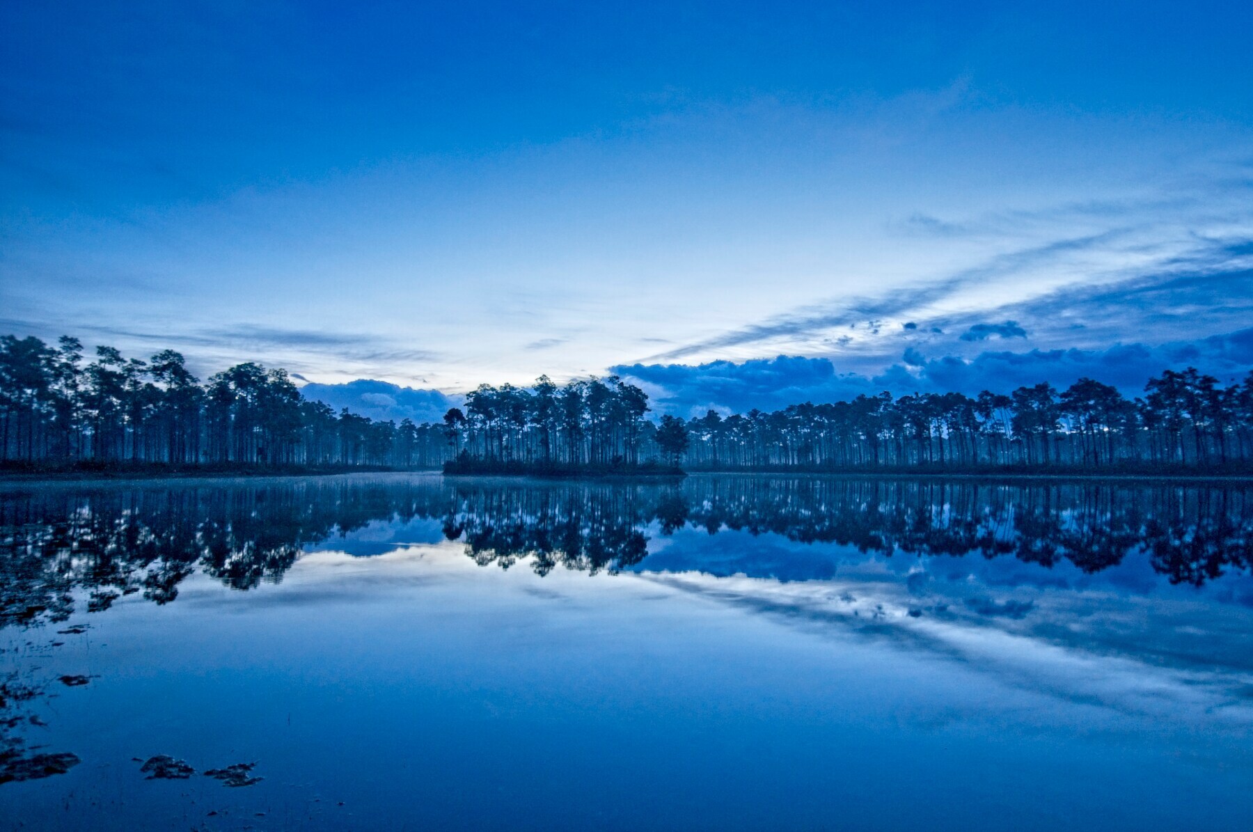 Blaue Stunde am Long Pine Key lake / Florida Everglades, Gewässer nicht in der Stadt, sondern Natur