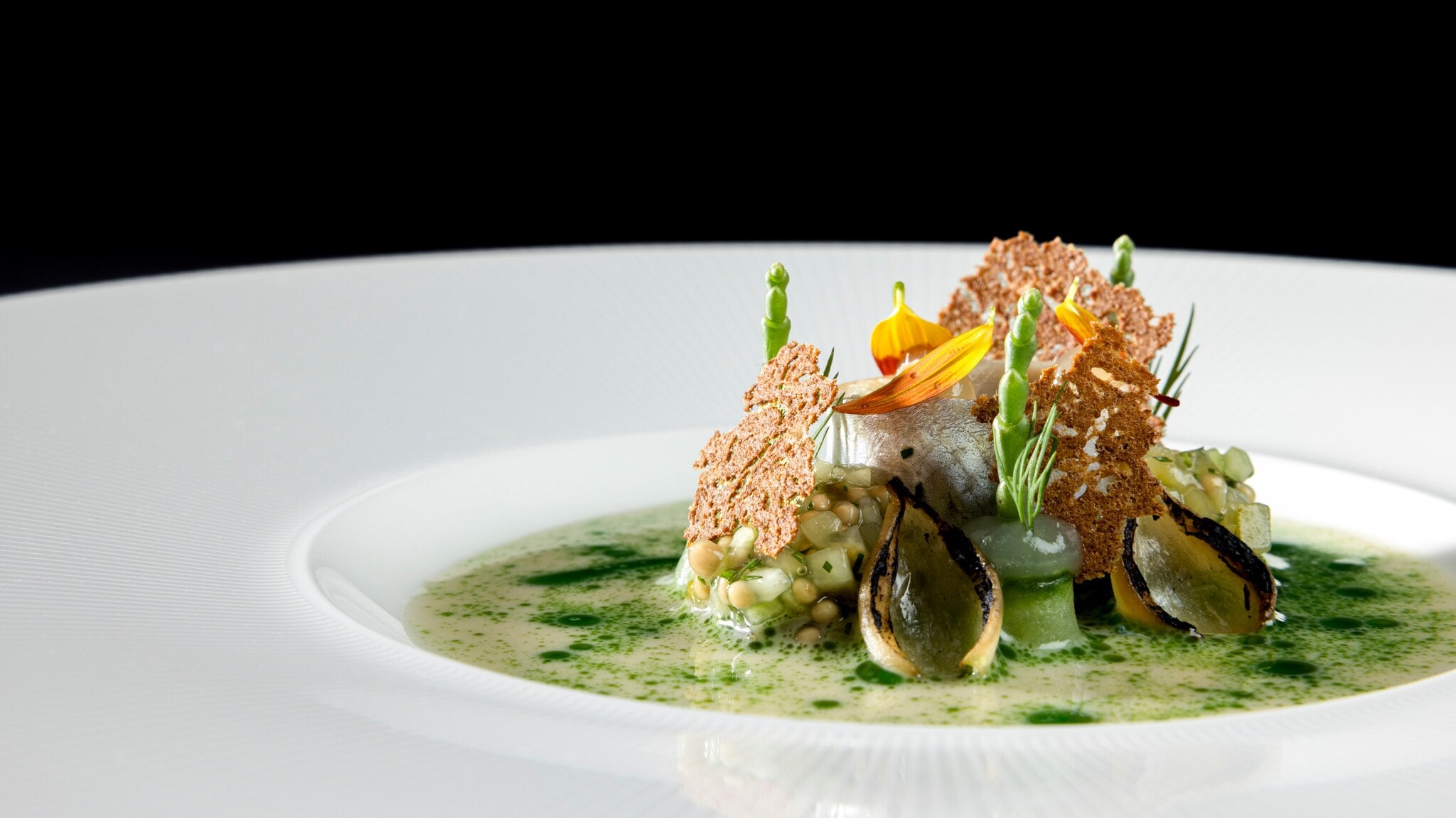 Ein kunstvoll angerichteter Teller mit einer Speise, die grüne Sauce, kleine Muscheln, Kräuter und essbare Blüten enthält. Ein kunstvoll angerichteter Teller mit einer Speise, die grüne Sauce, kleine Muscheln, Kräuter und essbare Blüten enthält.