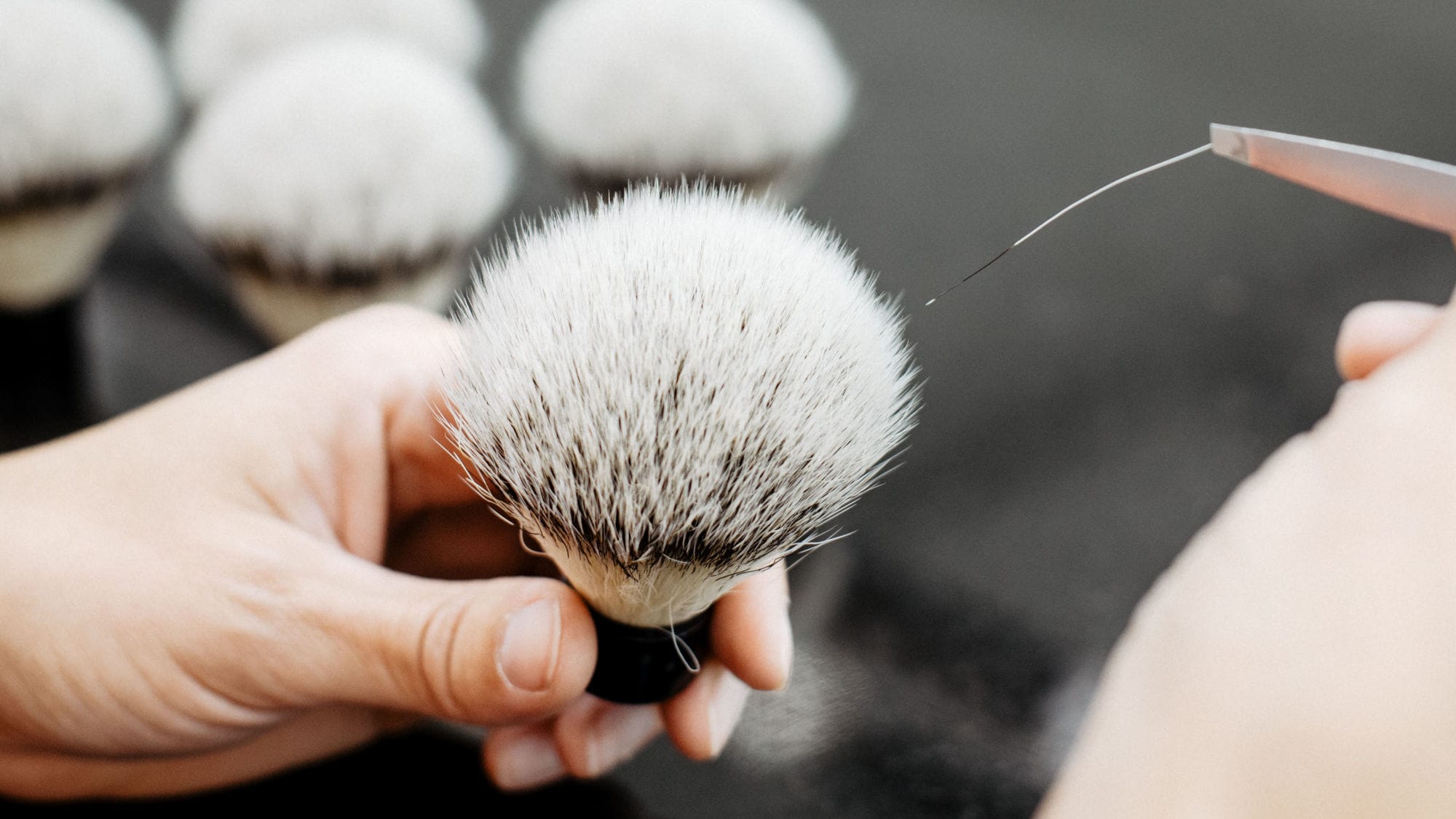 Hand hält einen weißen Rasierpinsel mit dunklen Borsten, eine zweite Hand führt eine Pinzette an die Borstenspitze. Hand hält einen weißen Rasierpinsel mit dunklen Borsten, eine zweite Hand führt eine Pinzette an die Borstenspitze.