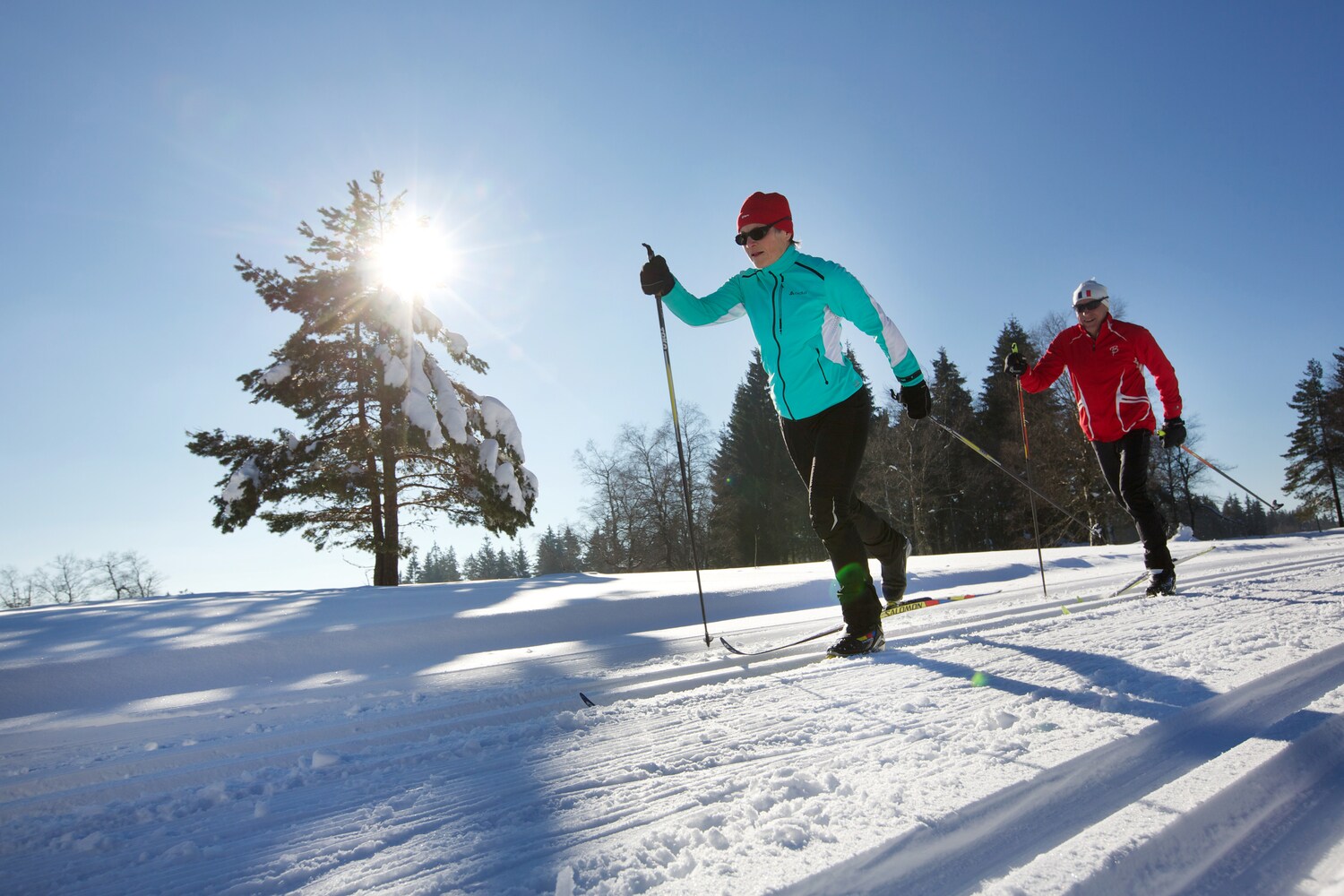 Zwei Skilanglaufende auf Loipe bei sonnigem Winterwetter