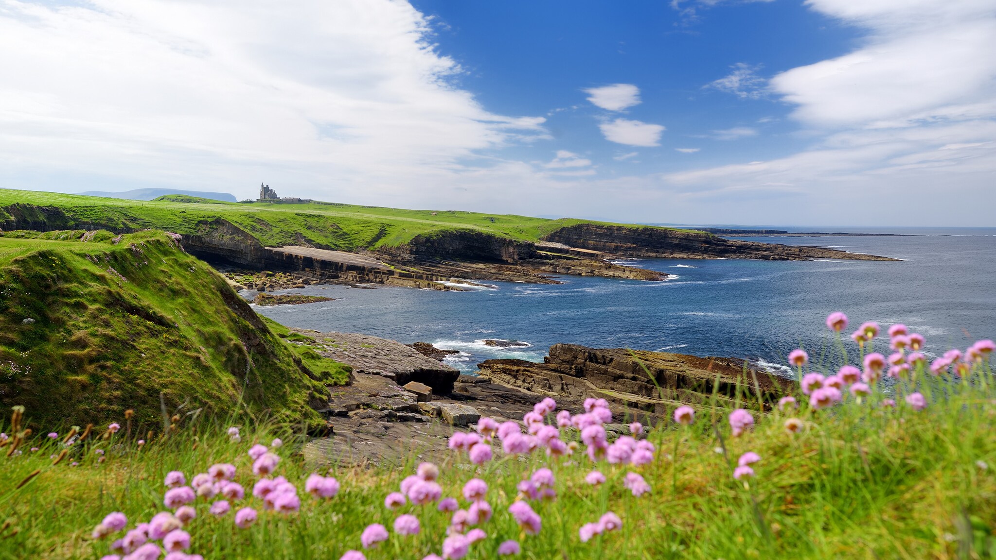 Eine Küstenlandschaft mit steinigen Klippen und Wiesen liegt direkt am Meer, im Vordergrund befinden sich lila Blüten.