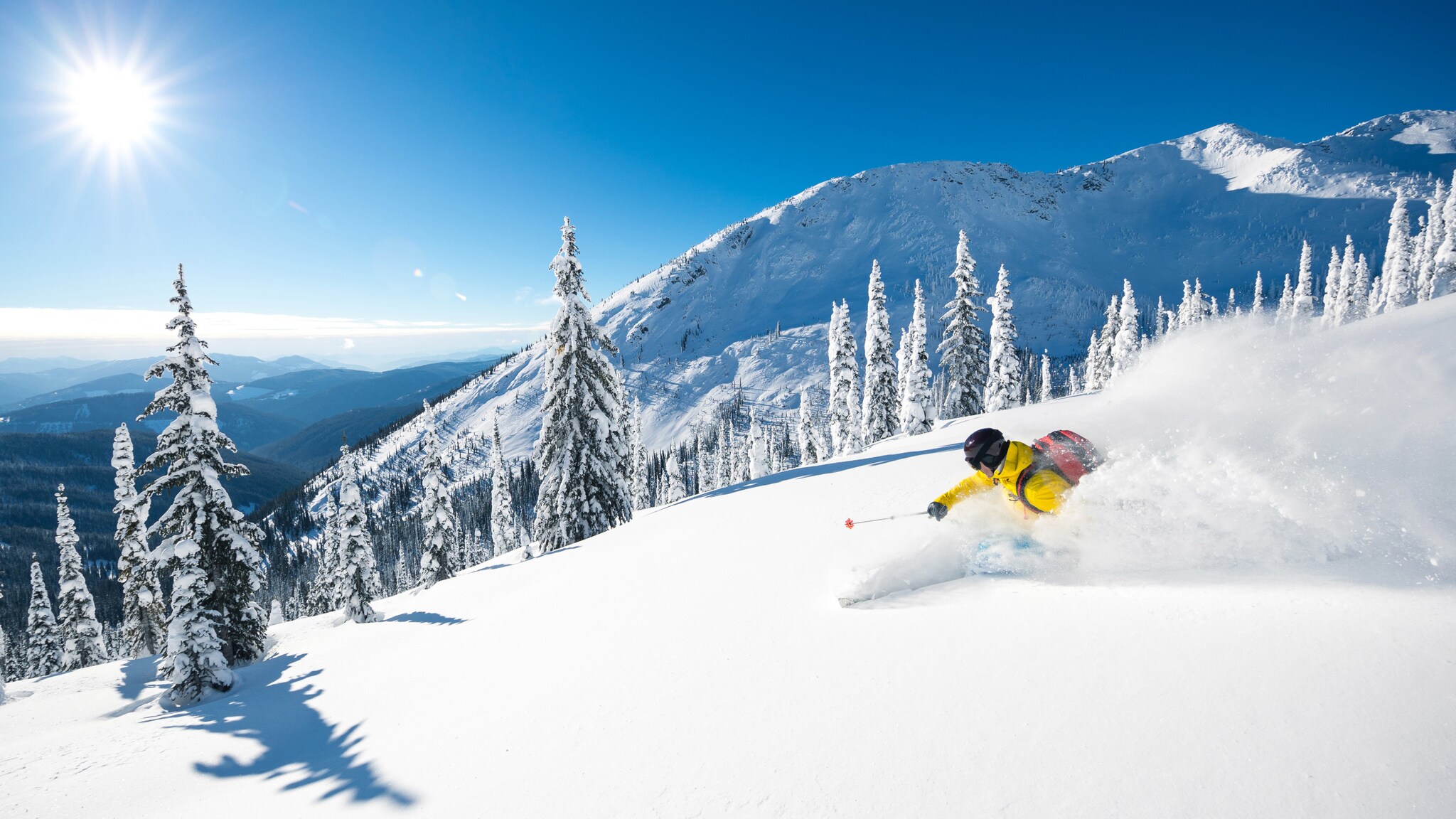 Ein Skifahrer fährt im Tiefschnee einen Hang mit Tannen hinunter vor verschneitem Bergpanorama unter blauem Himmel bei Sonnenschein.