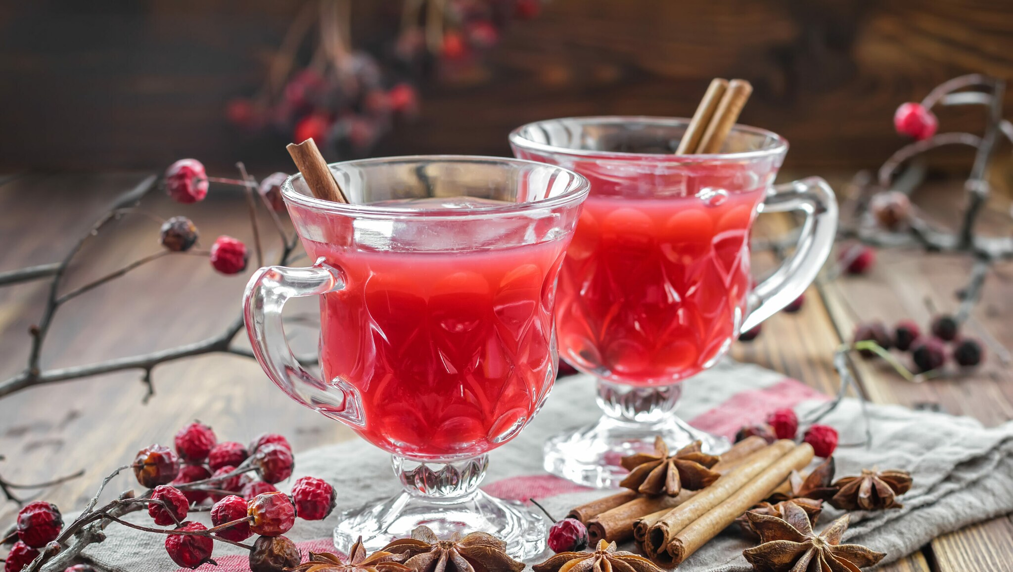 Zwei Gläser mit einem roten Heißgetränk aus Cranberrysaft, dekoriert mit winterlichen Zweigen, Zimtstangen und Sternani