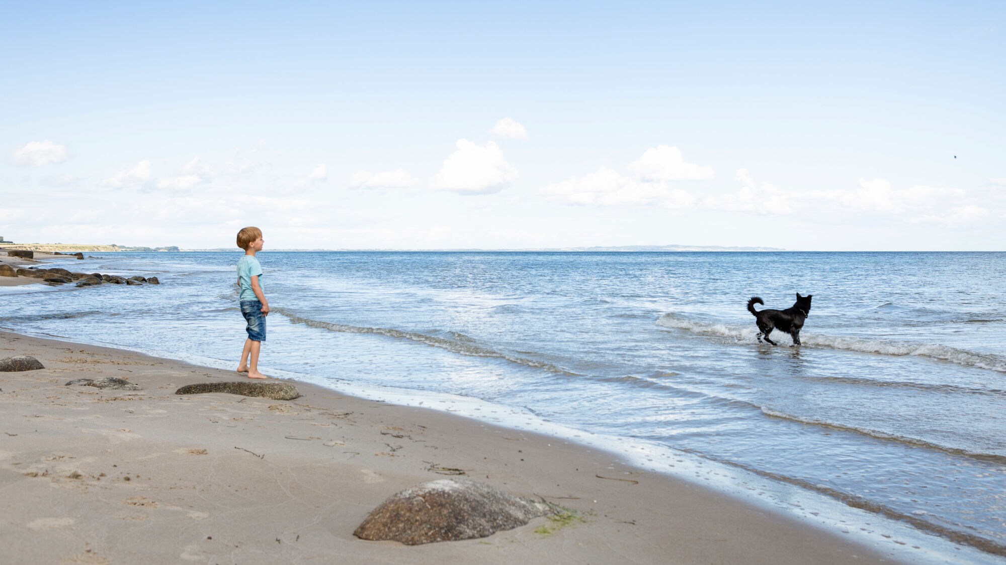 Ein Junge steht an einem Sandstrand am Meer, im Wasser läuft ein schwarzer Hund.