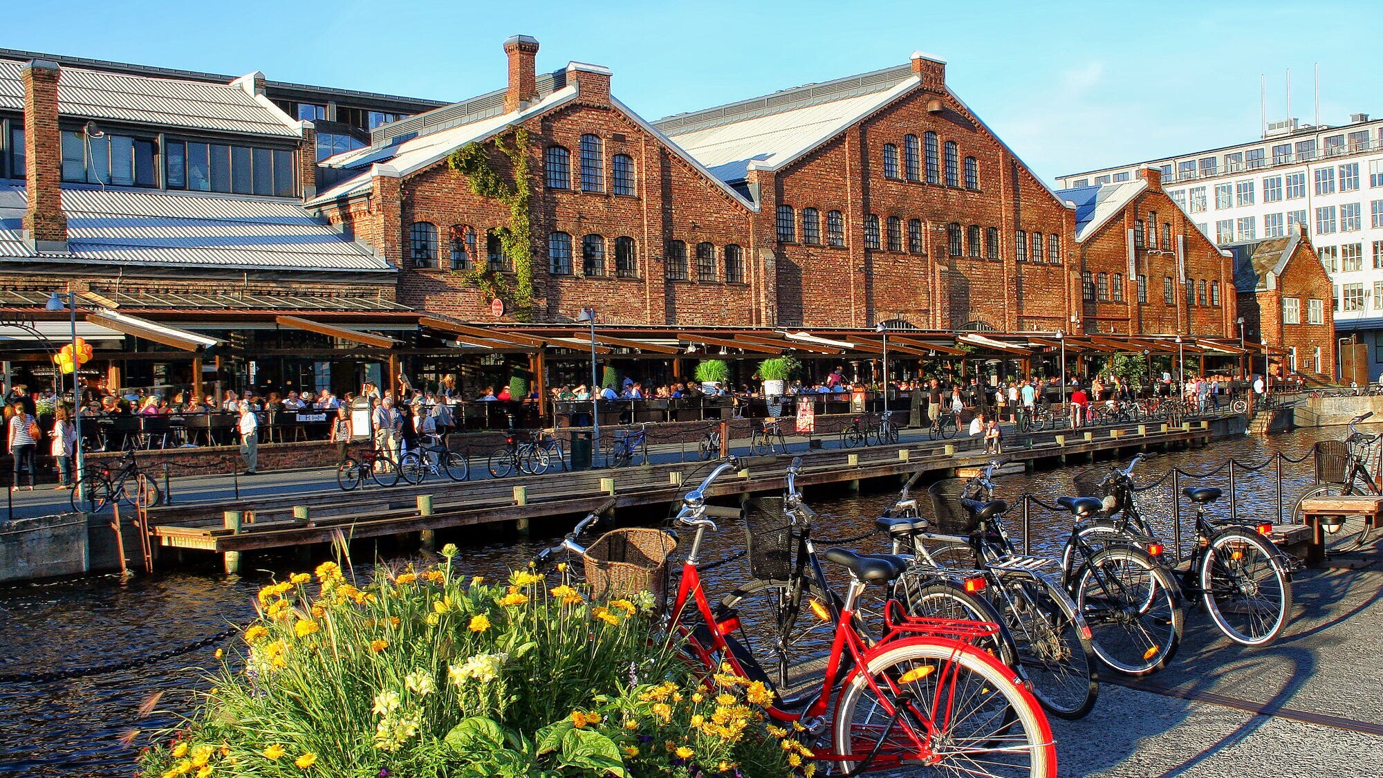 Backsteingebäude am Wasser in Trondheim, davor Fahrräder und ein großer Blumenkübel mit gelben und violetten Blumen.