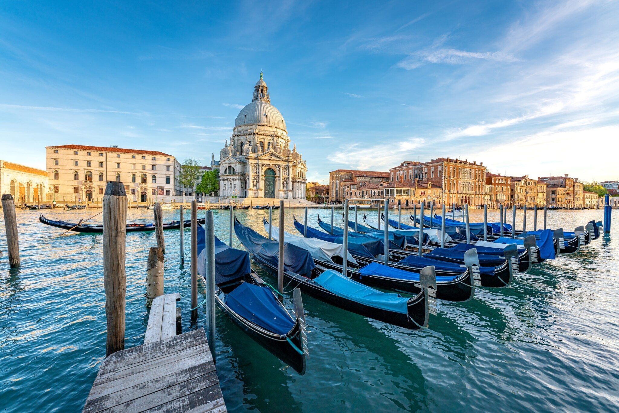 Venezianische Gondeln vor der Basilika Santa Maria della Salute am Canale Grande im Stadtteil Dorsoduro.
