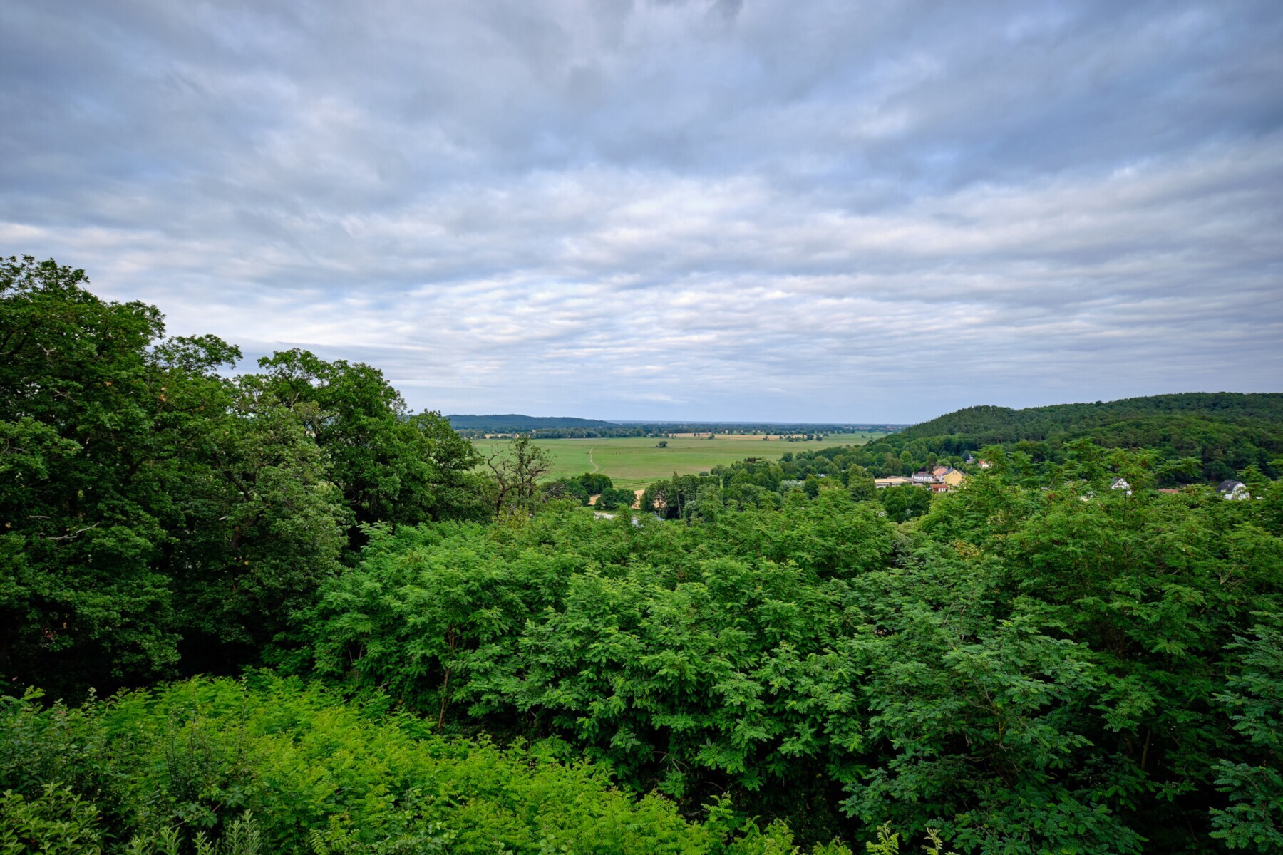 Blick vom Falkenberg an der Nordgrenze des Barnimplateaus auf die weite Landschaft "Oderbruch"