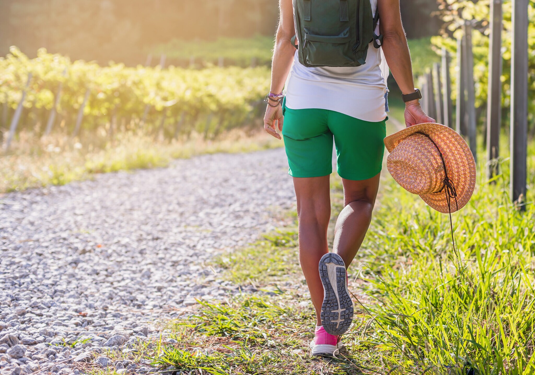 Rückansicht eines Frau mit Hut in der Hand beim Wandern durch Weinberge
