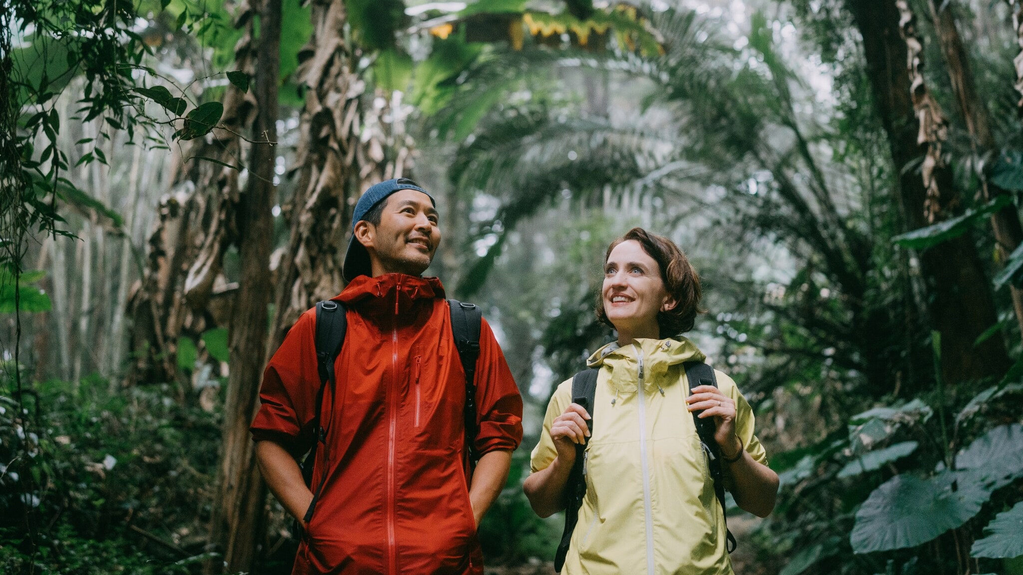 Zwei Wandernde mit Rucksäcken in einem dichten Dschungel, einer trägt eine rote Jacke, die andere eine gelbe Jacke. Zwei Wandernde mit Rucksäcken in einem dichten Dschungel, einer trägt eine rote Jacke, die andere eine gelbe Jacke.